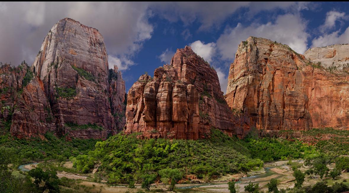 Bibee & Associates/RAI