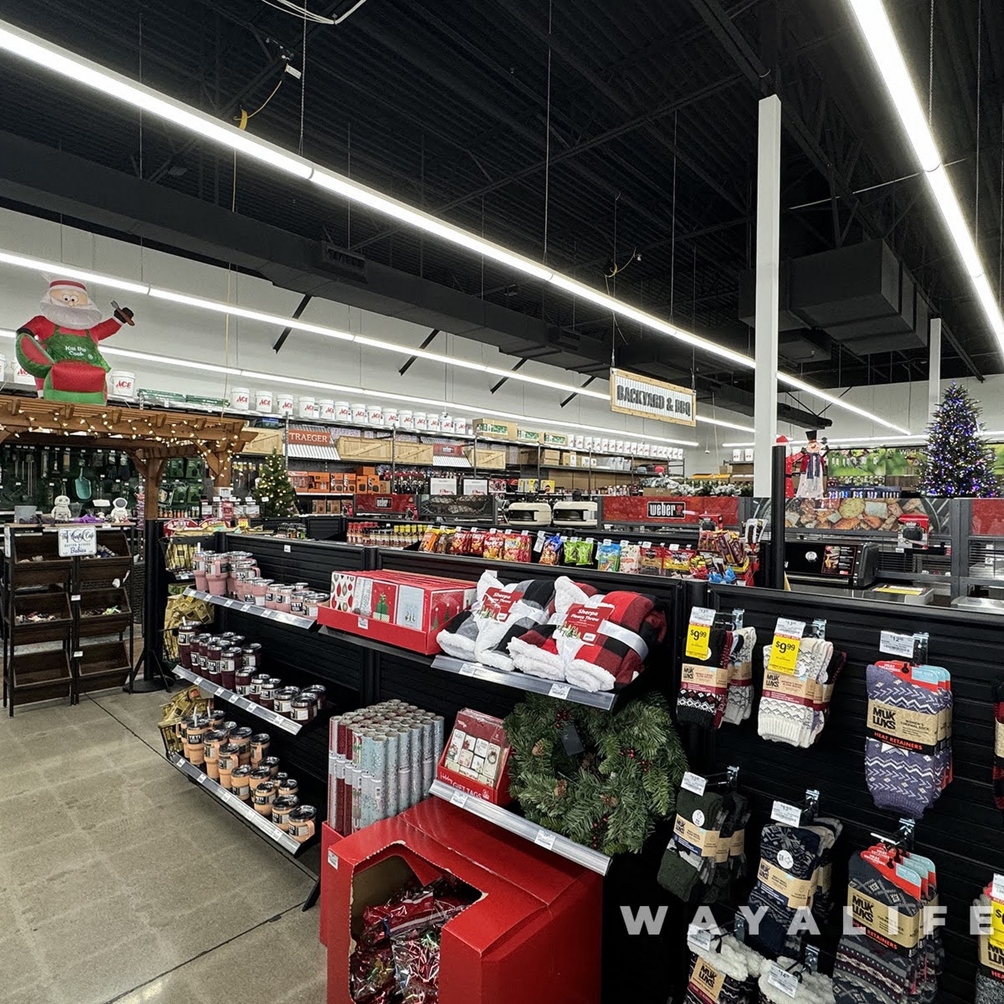 Ace Hardware Carson City