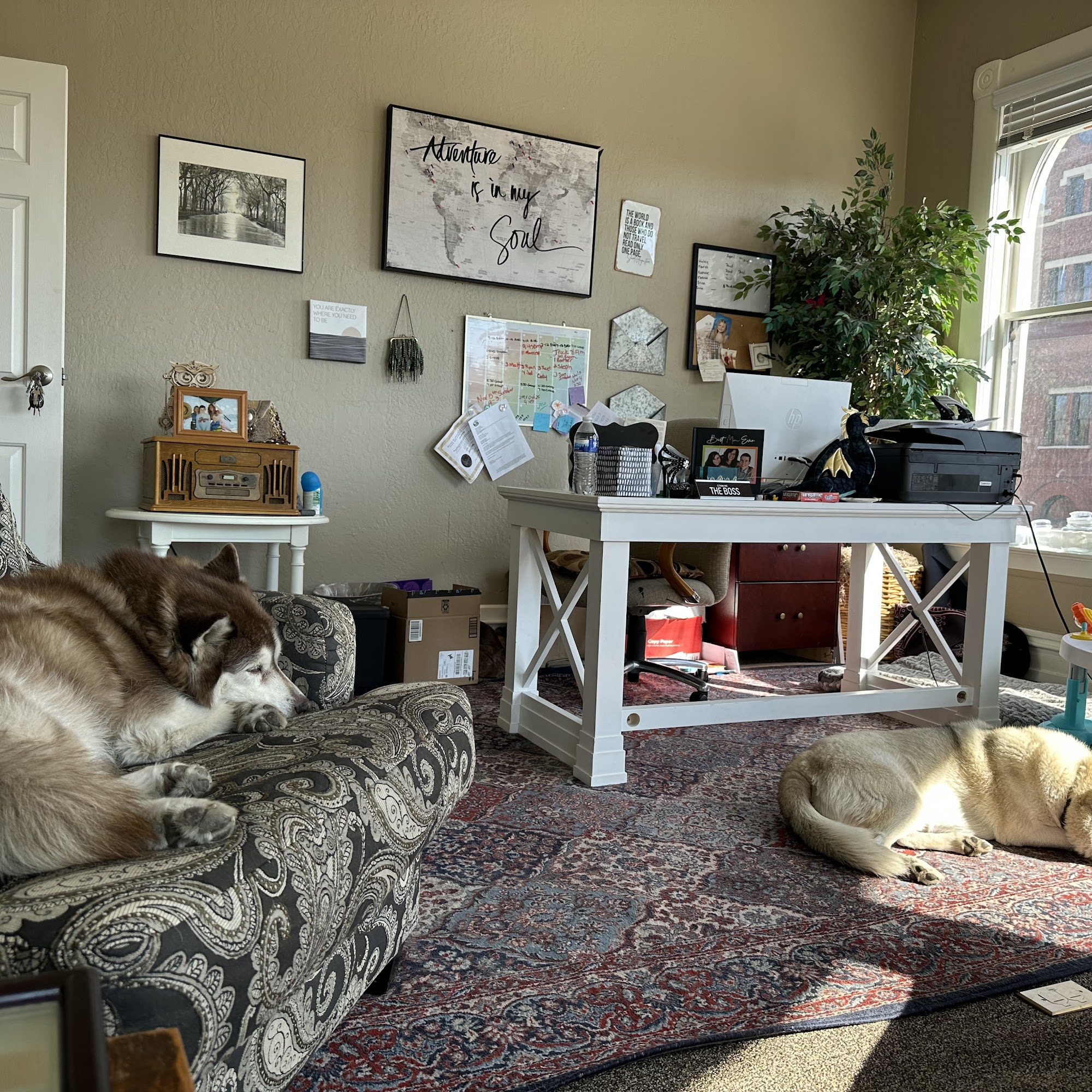 Miller Counseling 104 W Telegraph St, Carson City Nevada 89703