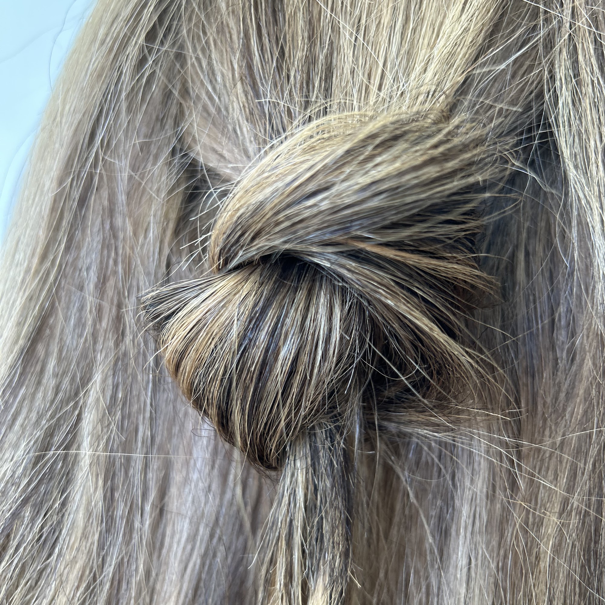 Razor & Rayne 1308 S Stewart St, Carson City Nevada 89701