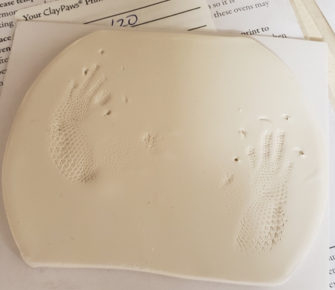 Bergin Animal Clinic Elko