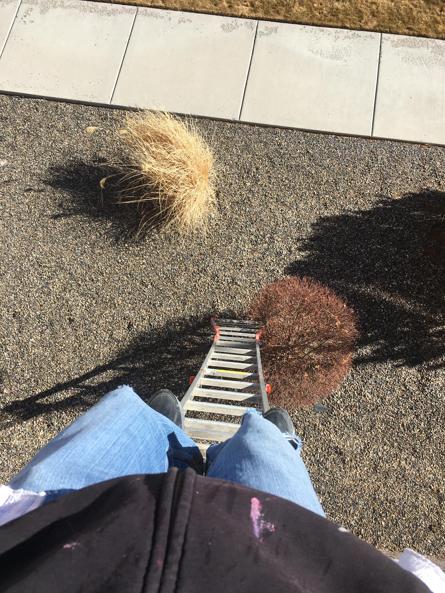 Byers Window Cleaning Services