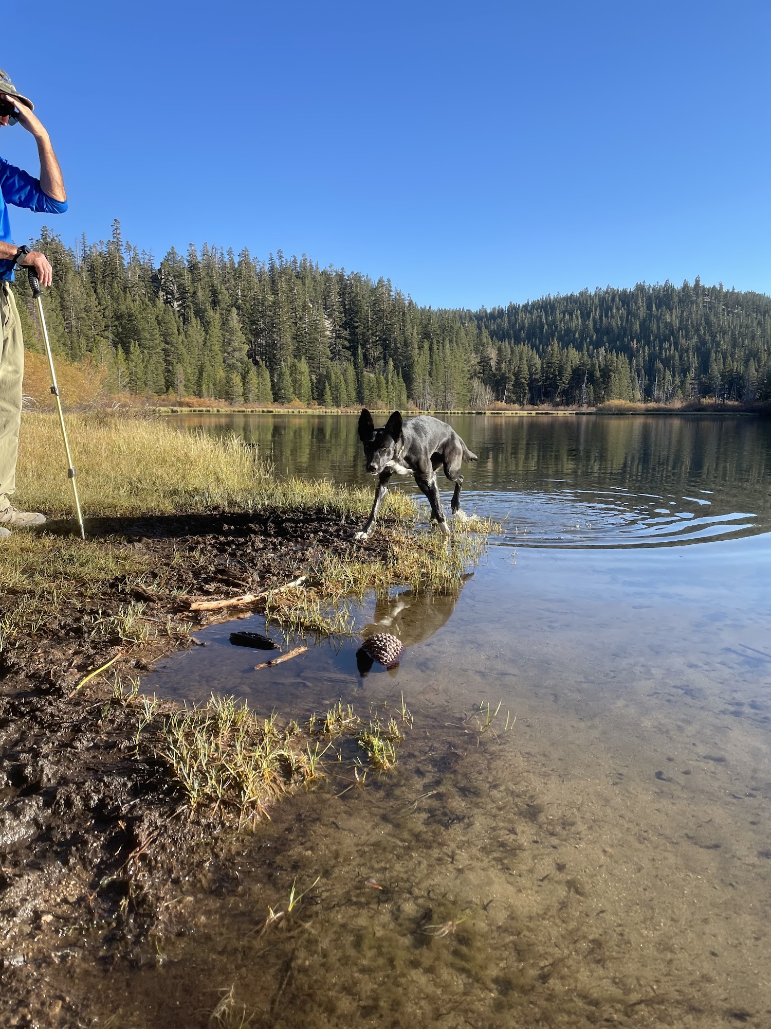 Churchill Animal Protection Society Fallon