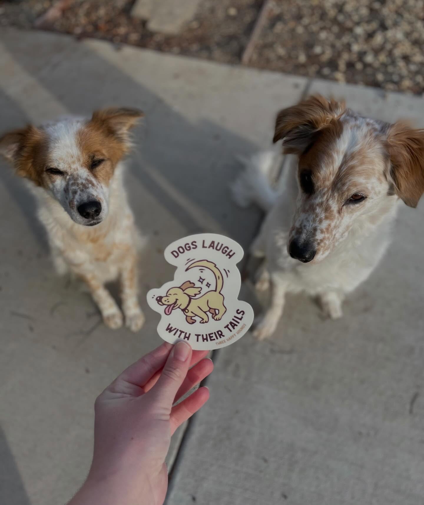 Three Happy Hounds Fernley