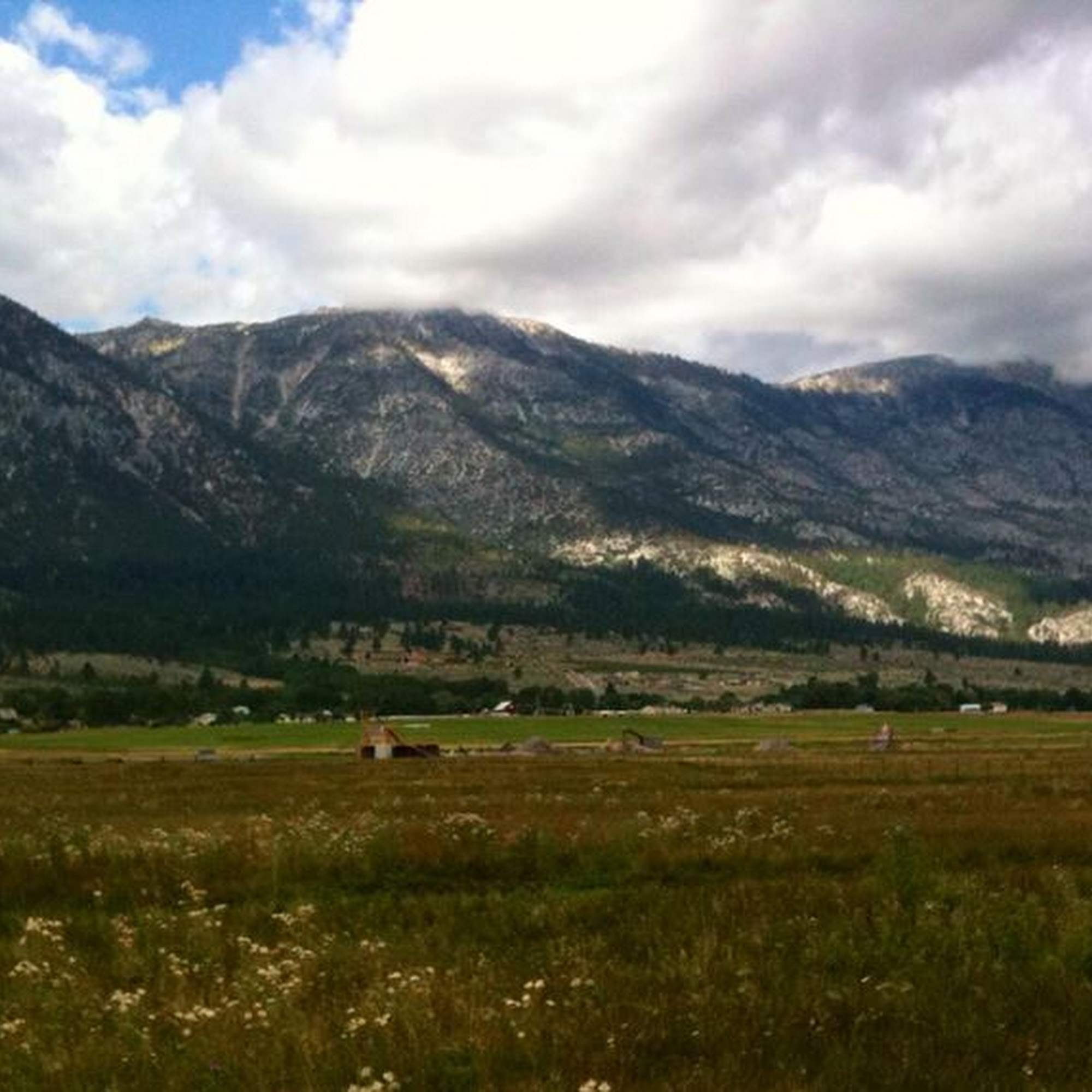 Great Basin Equine Hospital Gardnerville