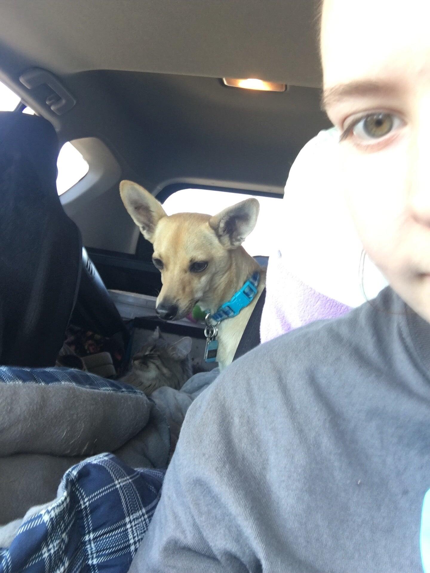 Photo credit: nextdoor