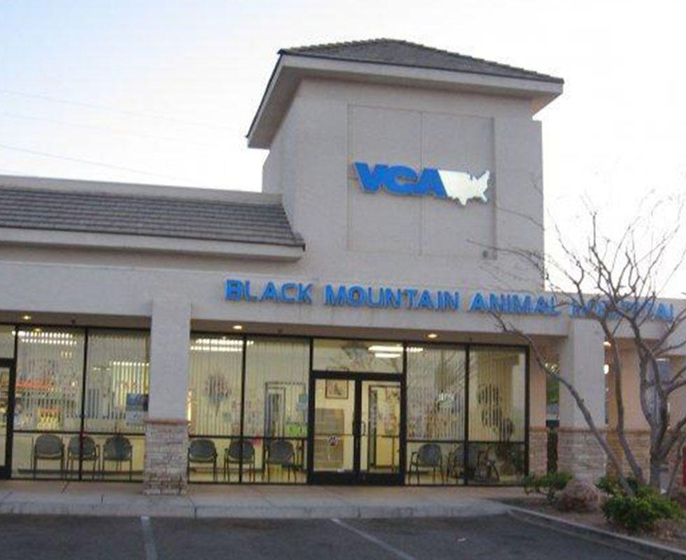 VCA Black Mountain Animal Hospital Henderson