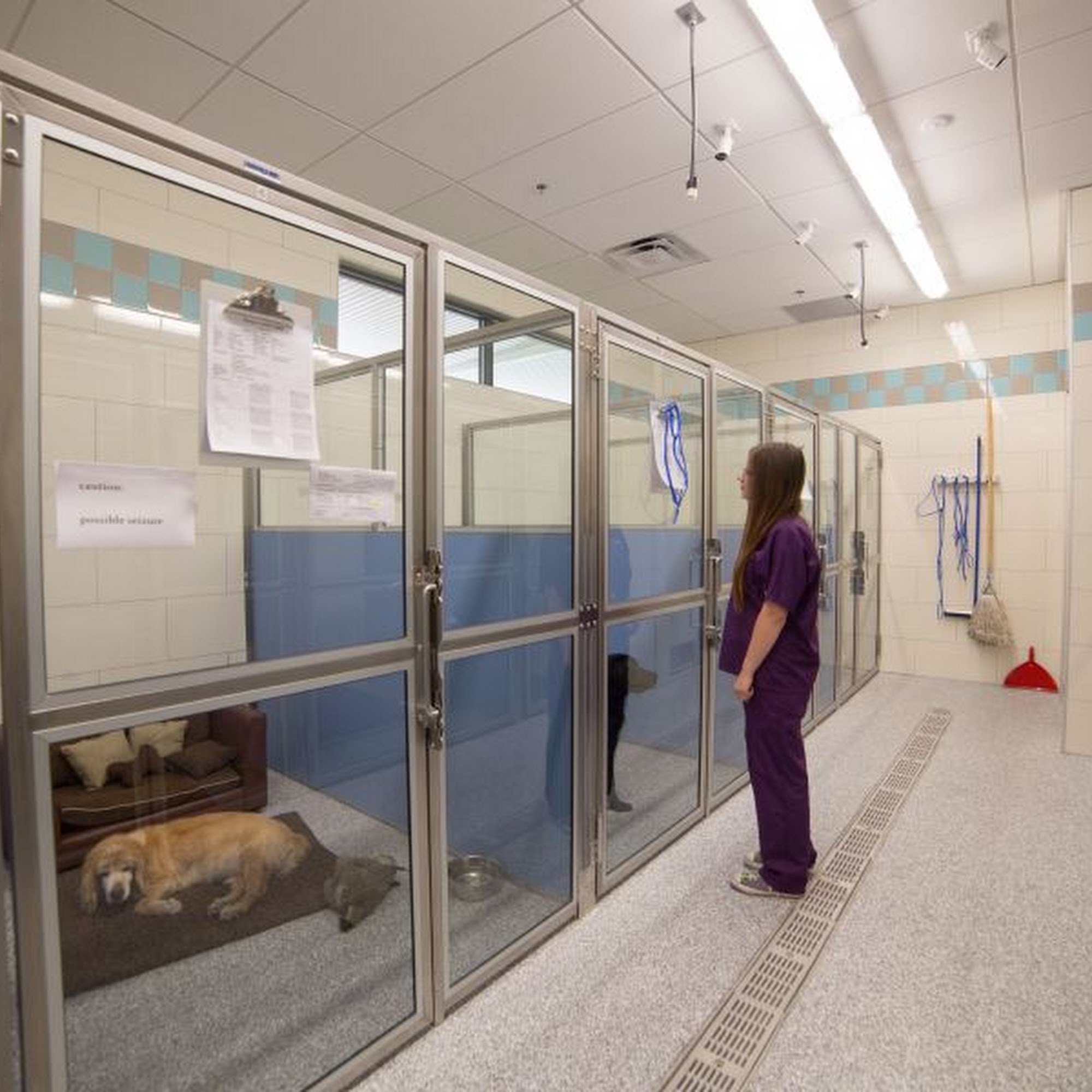 Inspirada Animal Hospital Henderson