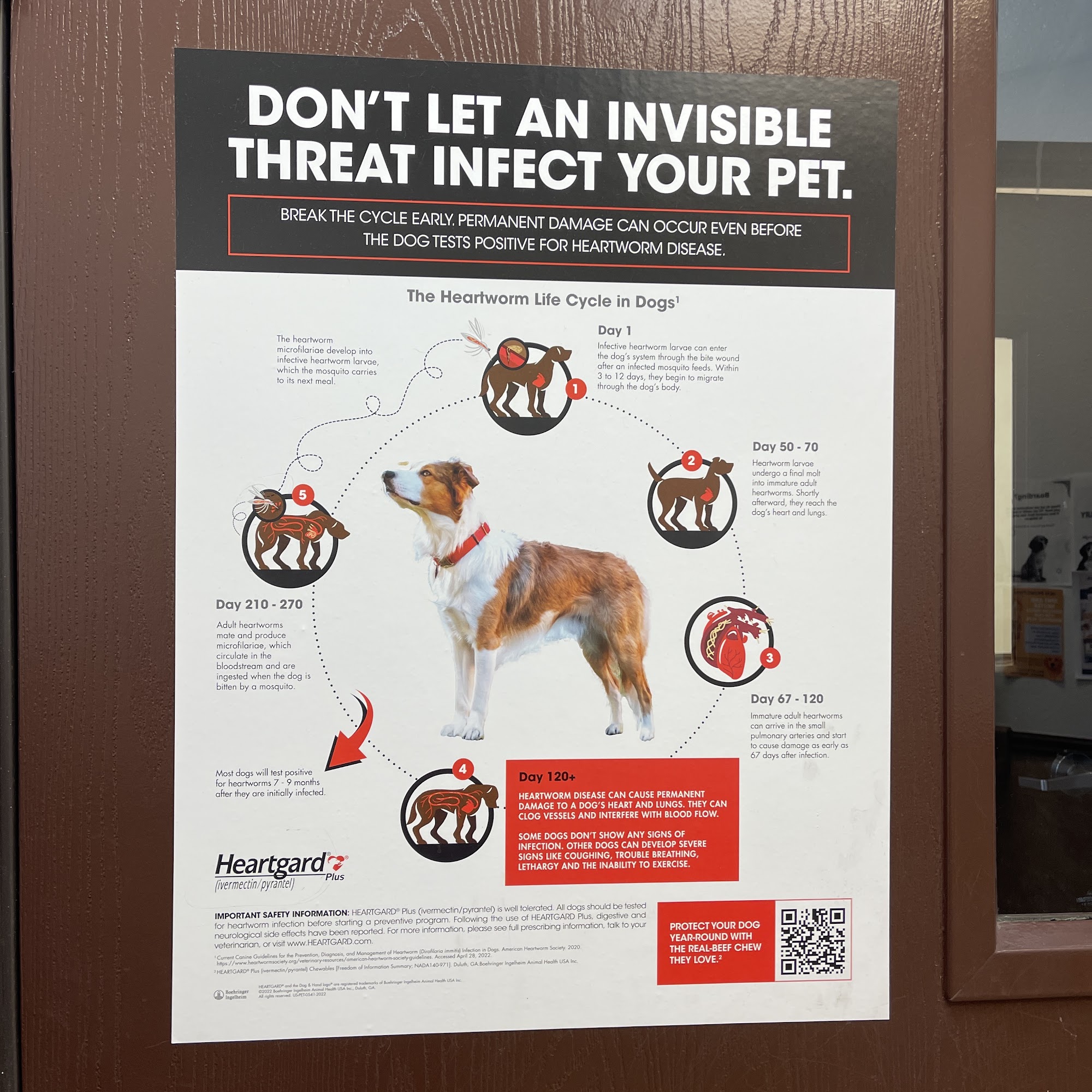 Valley Ranch Animal Hospital Henderson