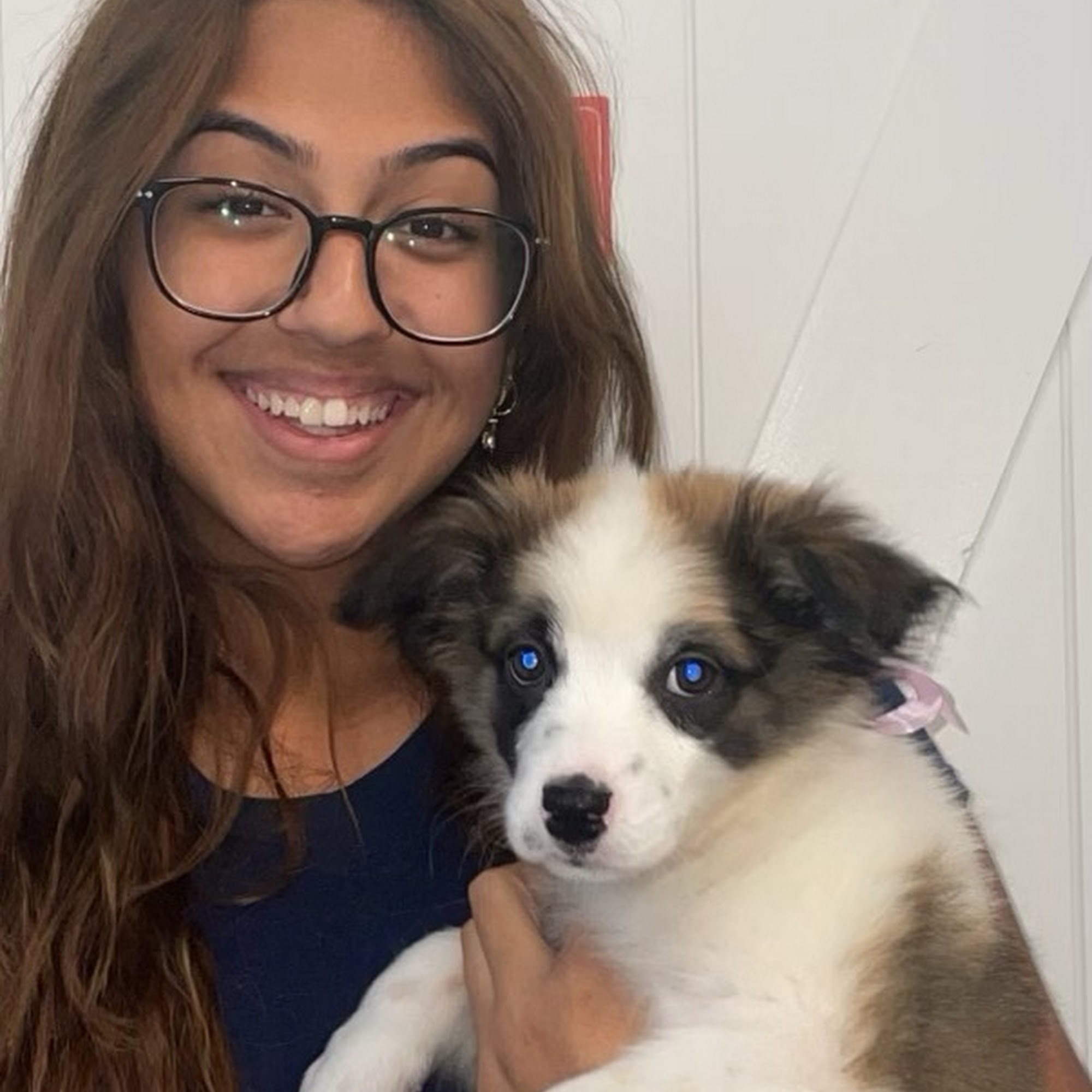 The Puppy Store Henderson Henderson