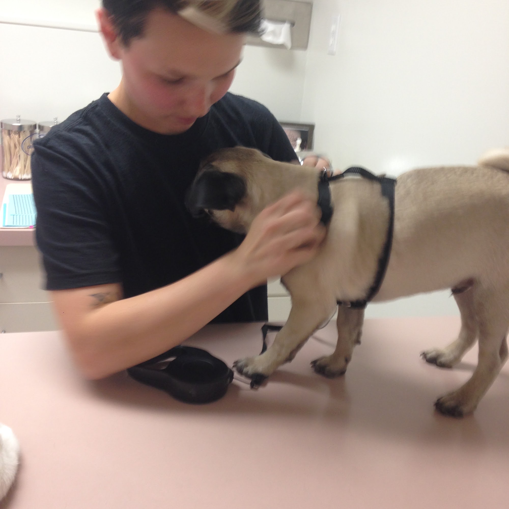 Sandy Hill Animal Clinic Las Vegas