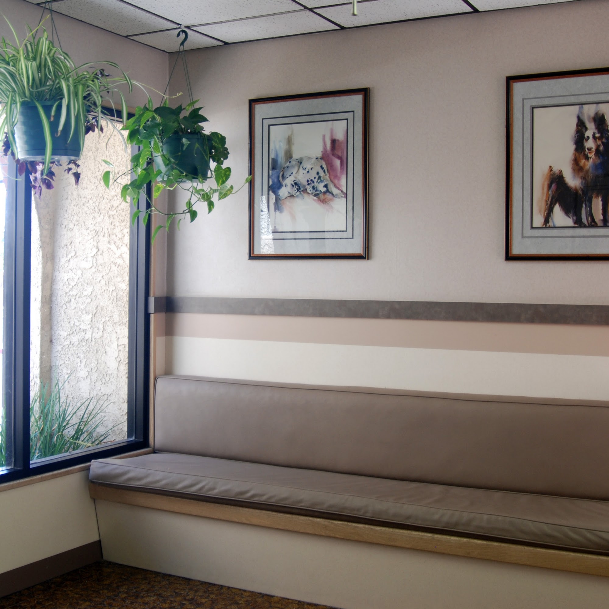 Rainbow Animal Hospital Las Vegas