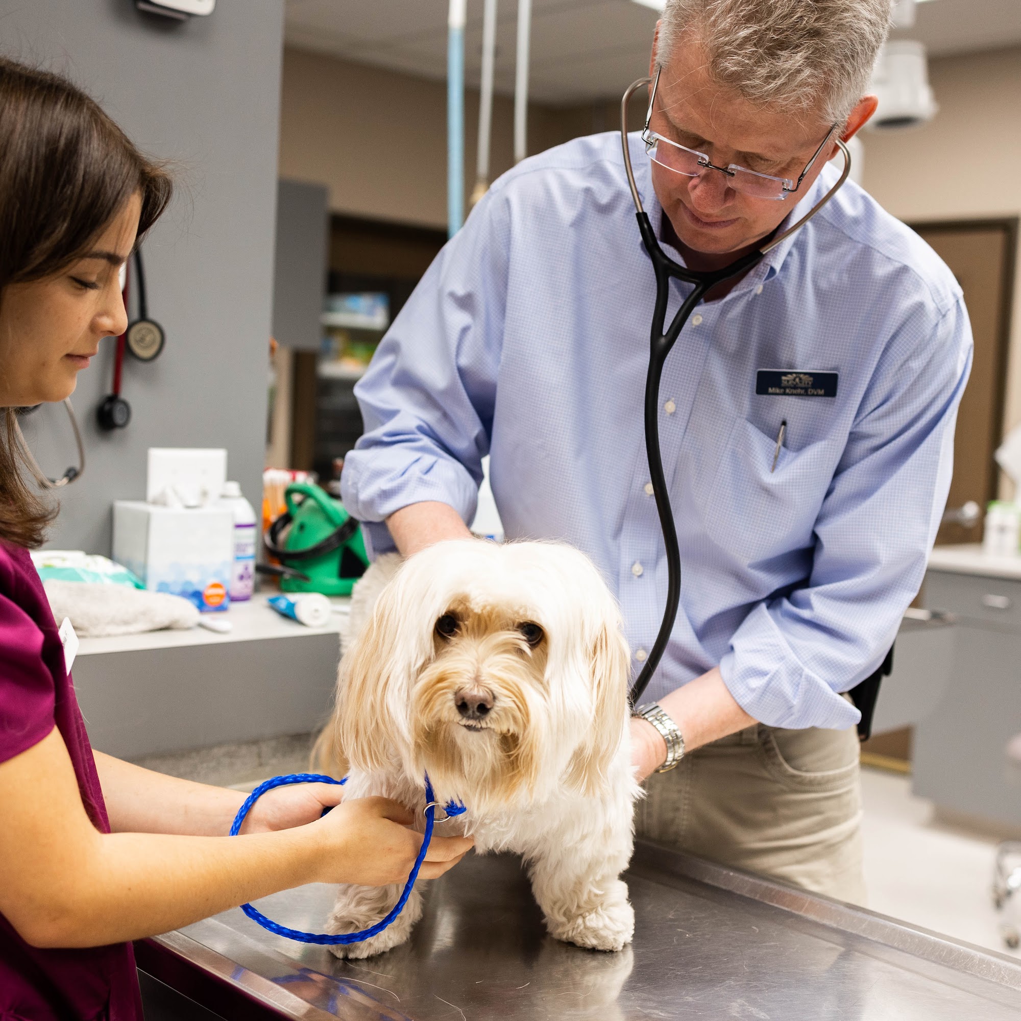 Sun City Animal Hospital Las Vegas