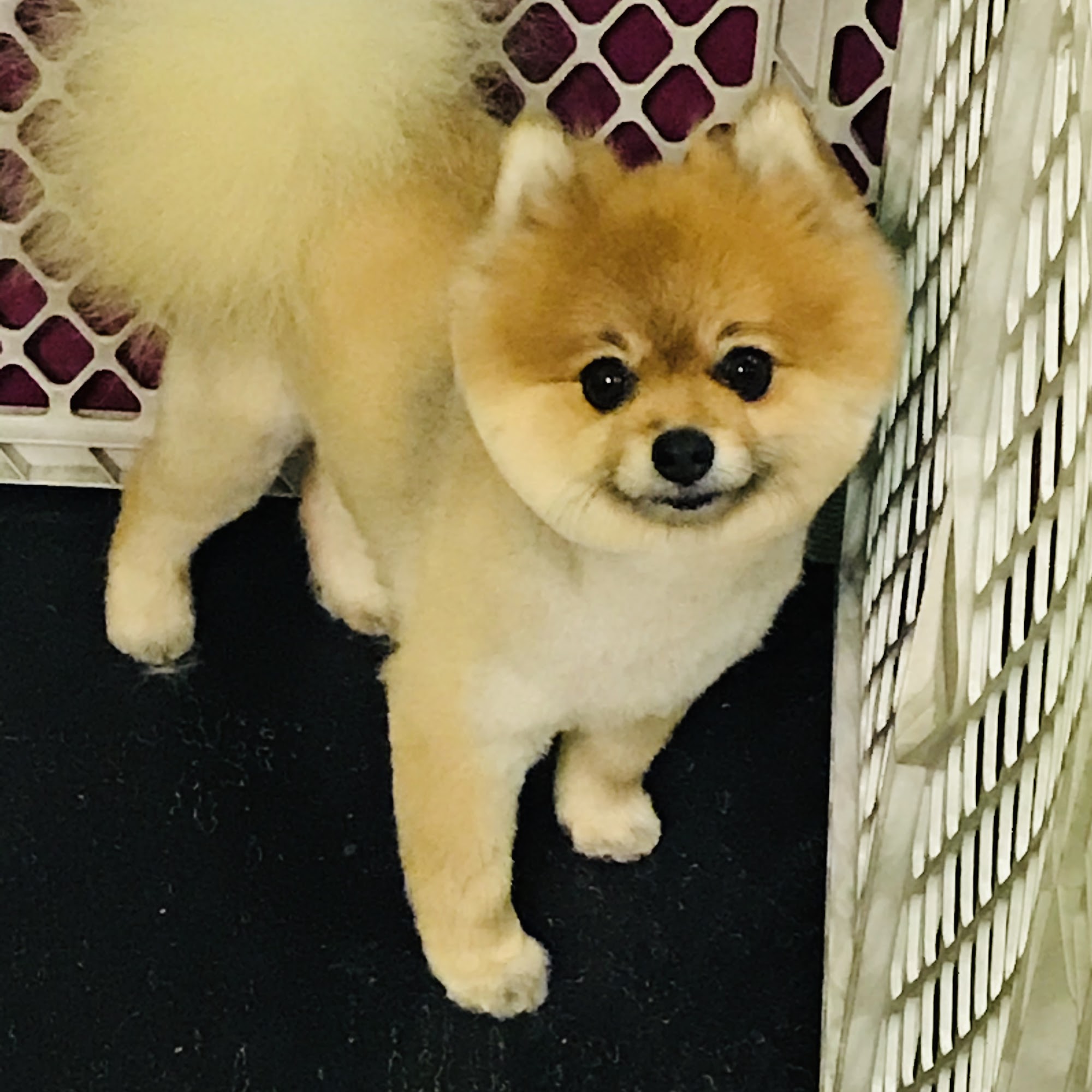 Las Vegas Spaw Las Vegas