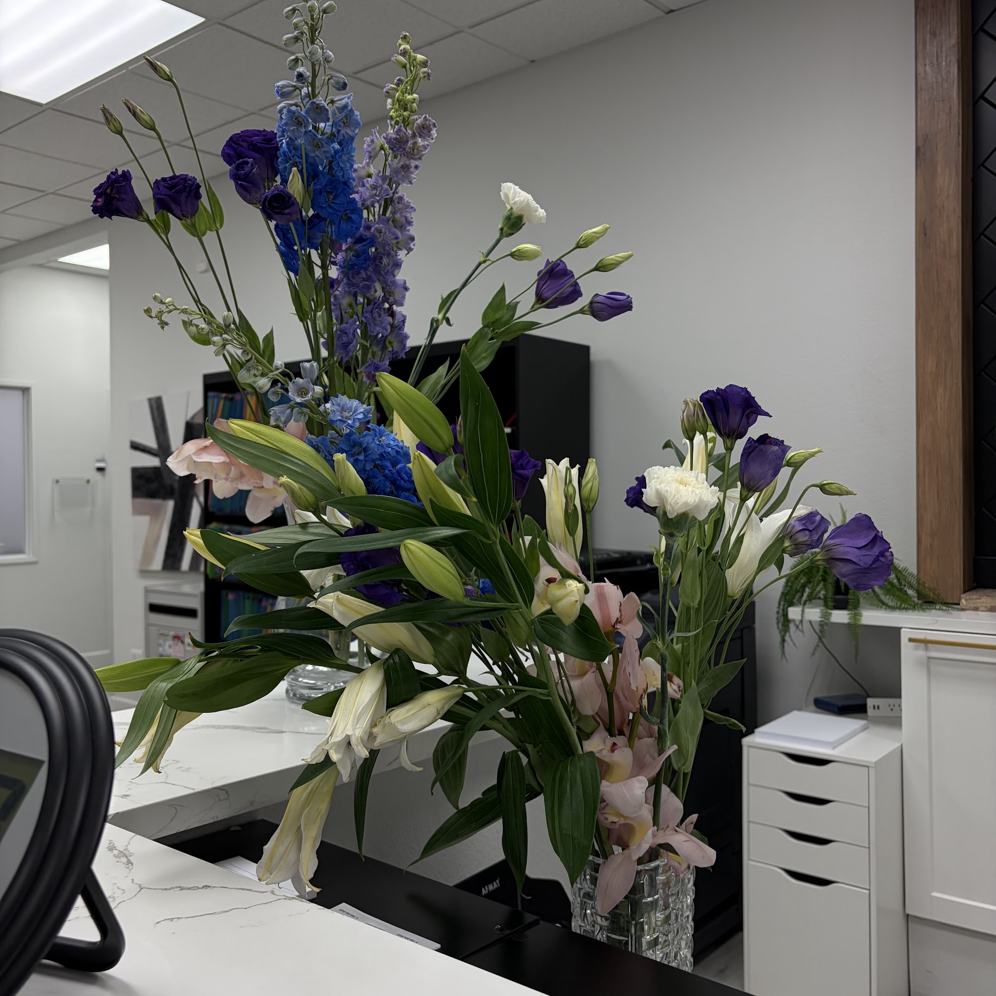 Flamingo Chiropractic