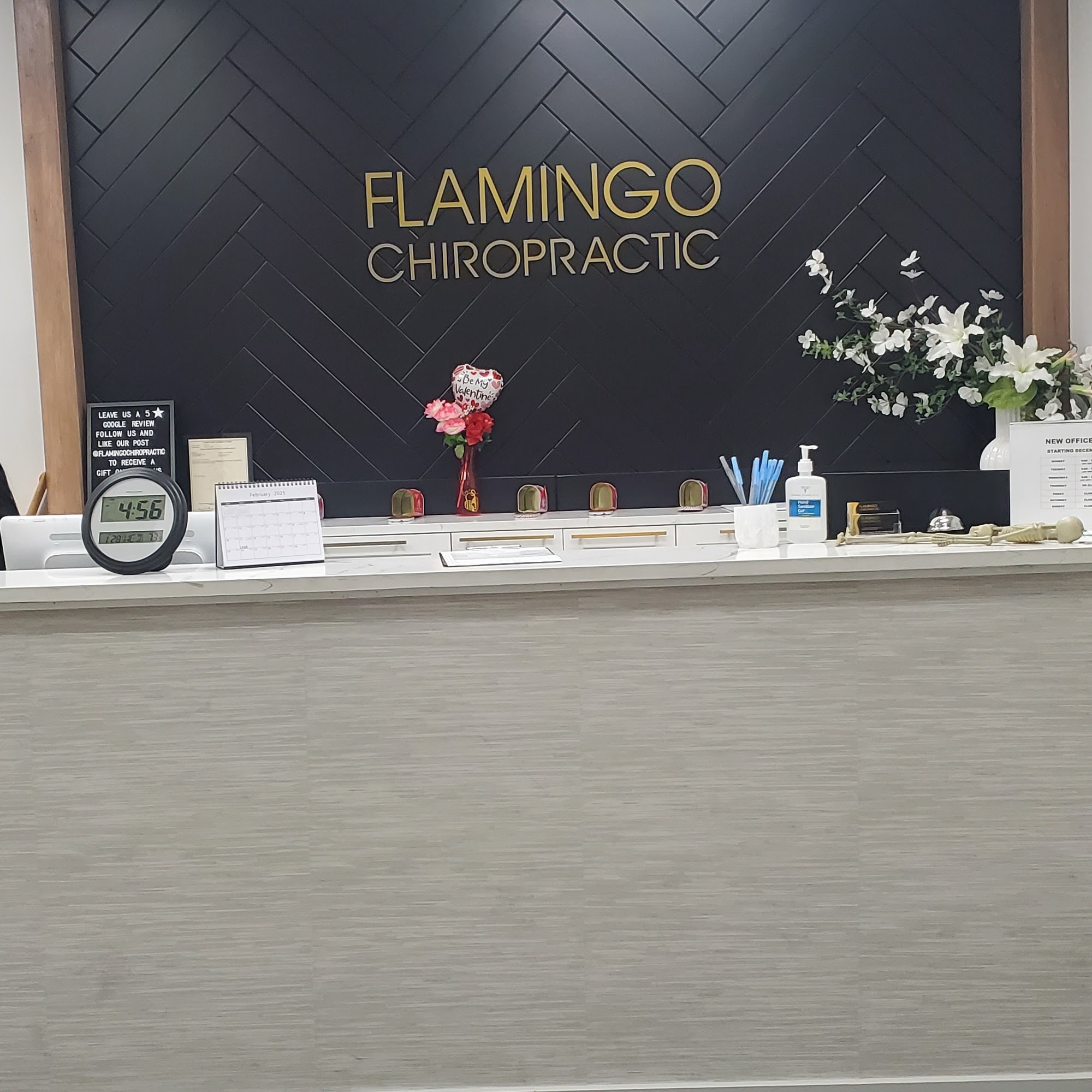 Flamingo Chiropractic