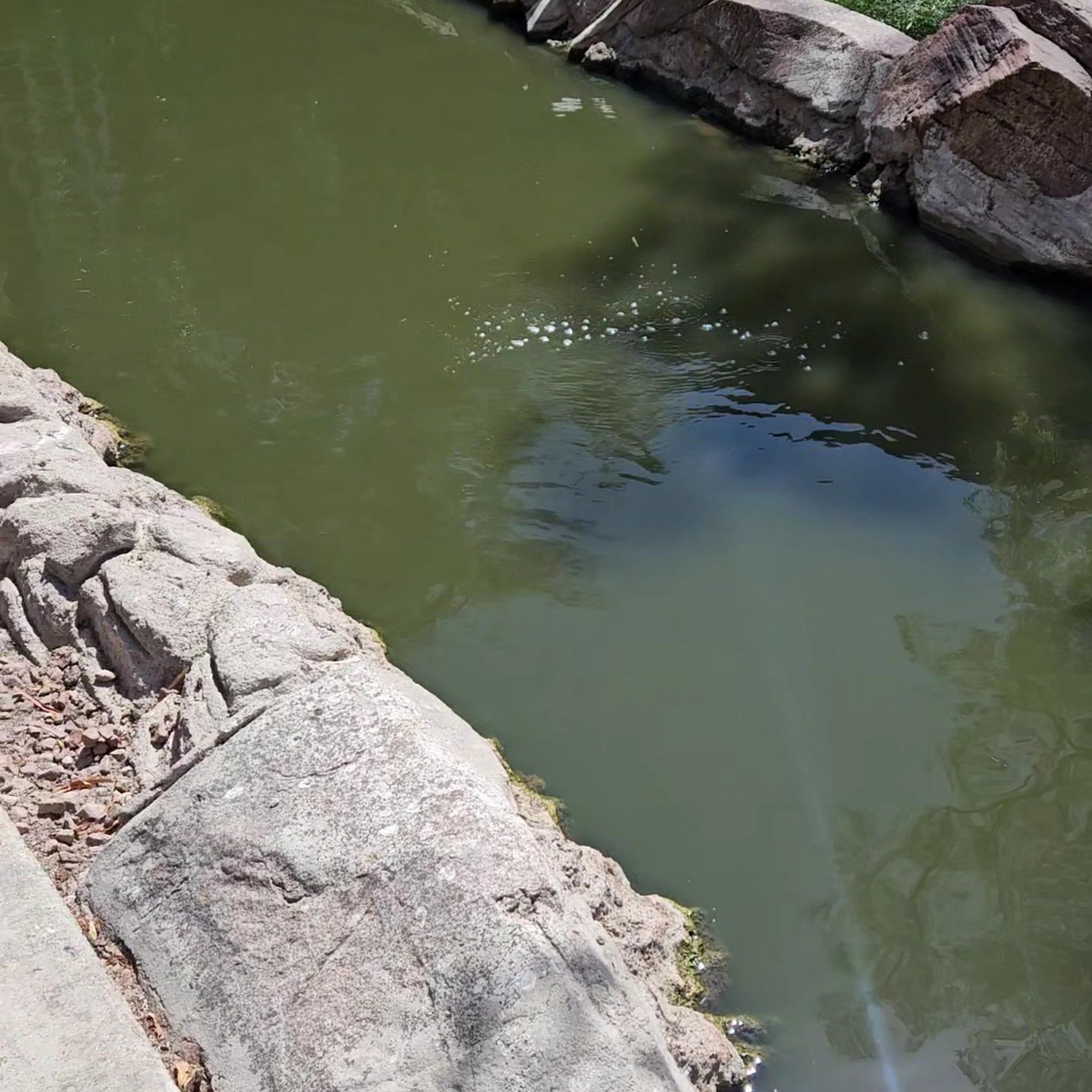 Razzmatazz Salon 6600 W Charleston Blvd UNIT 126, Las Vegas Nevada 89146