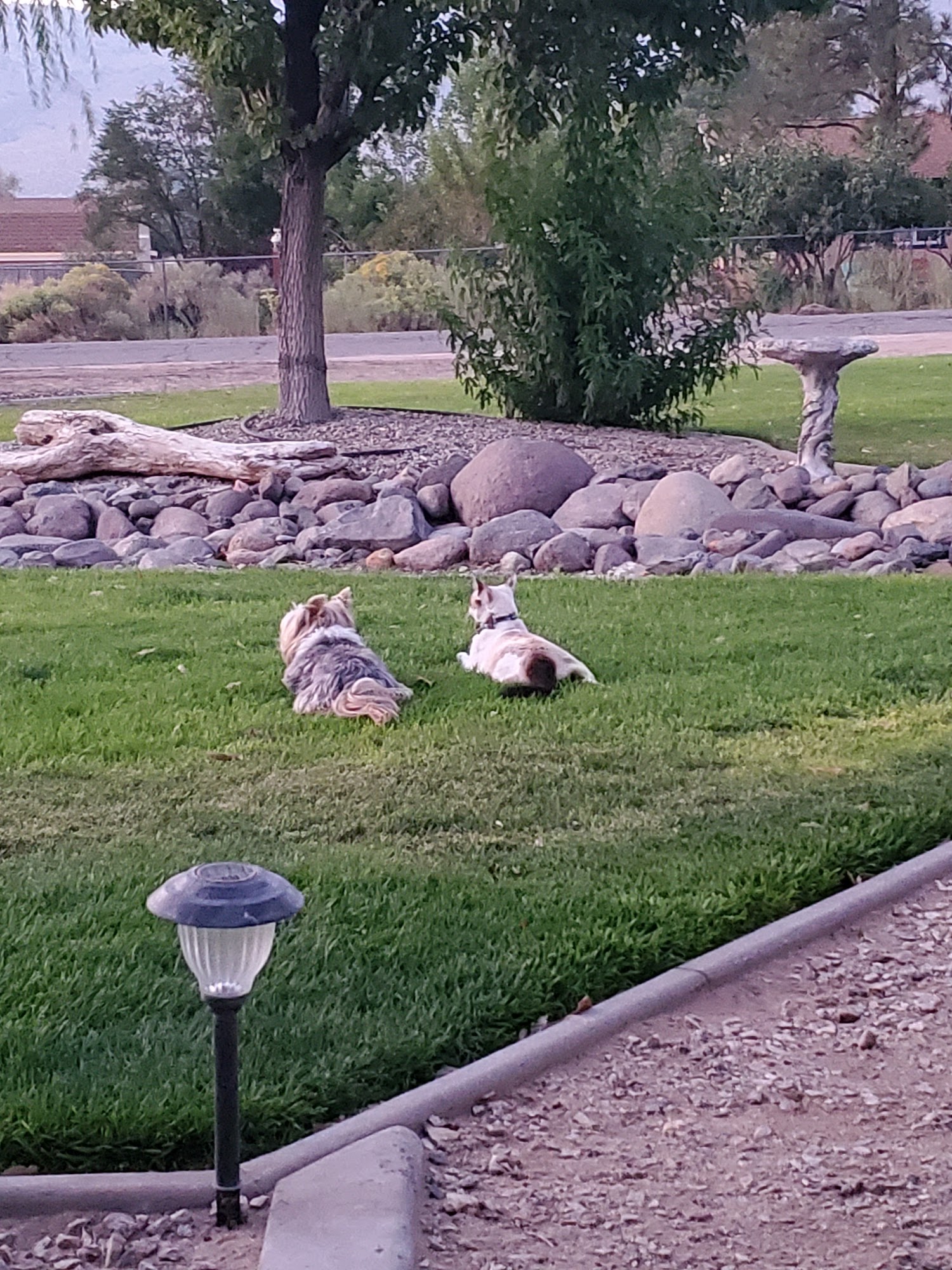 Nova's Ark Pet Care Minden