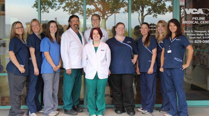 VCA Feline Medical Center Reno