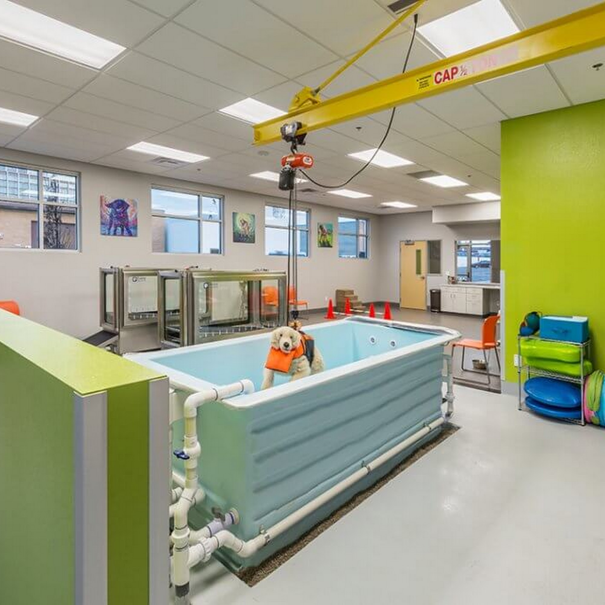 BluePearl Pet Hospital Reno