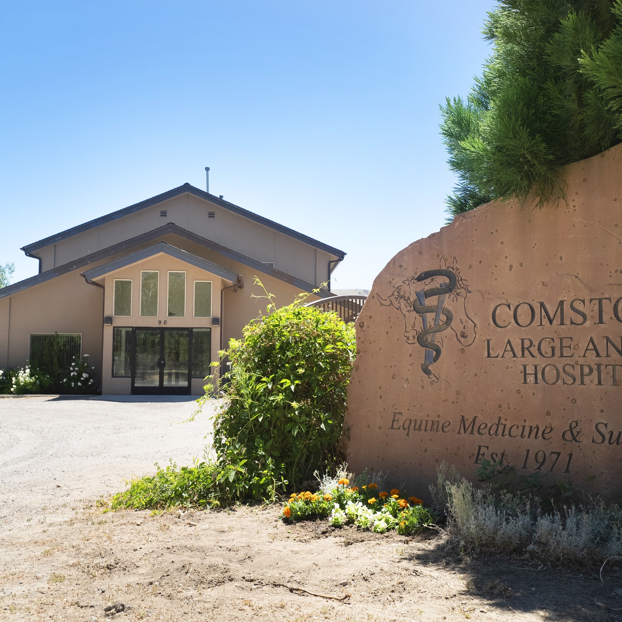 Comstock Equine Hospital Reno