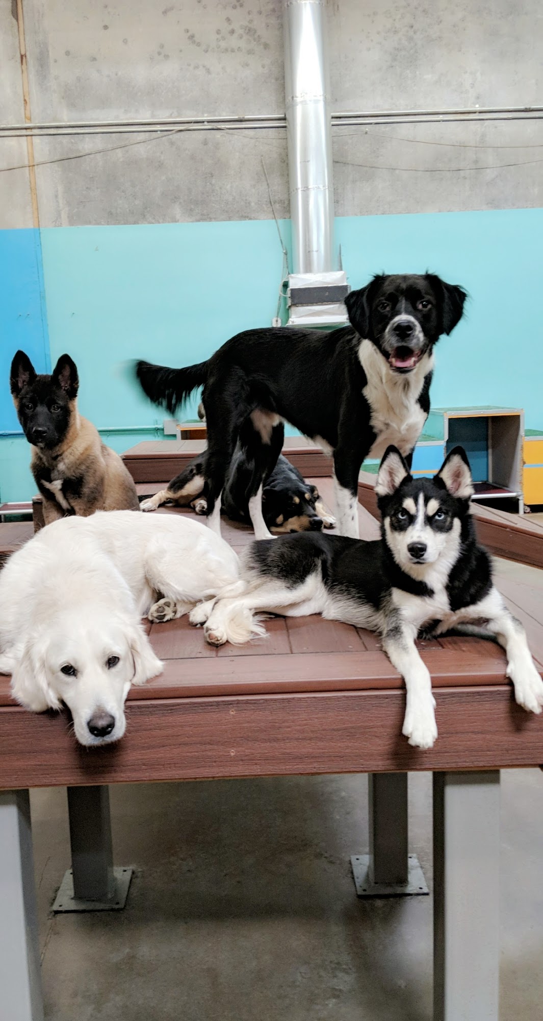 Charlie's Place Reno