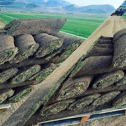 Turf Brokers Trucking