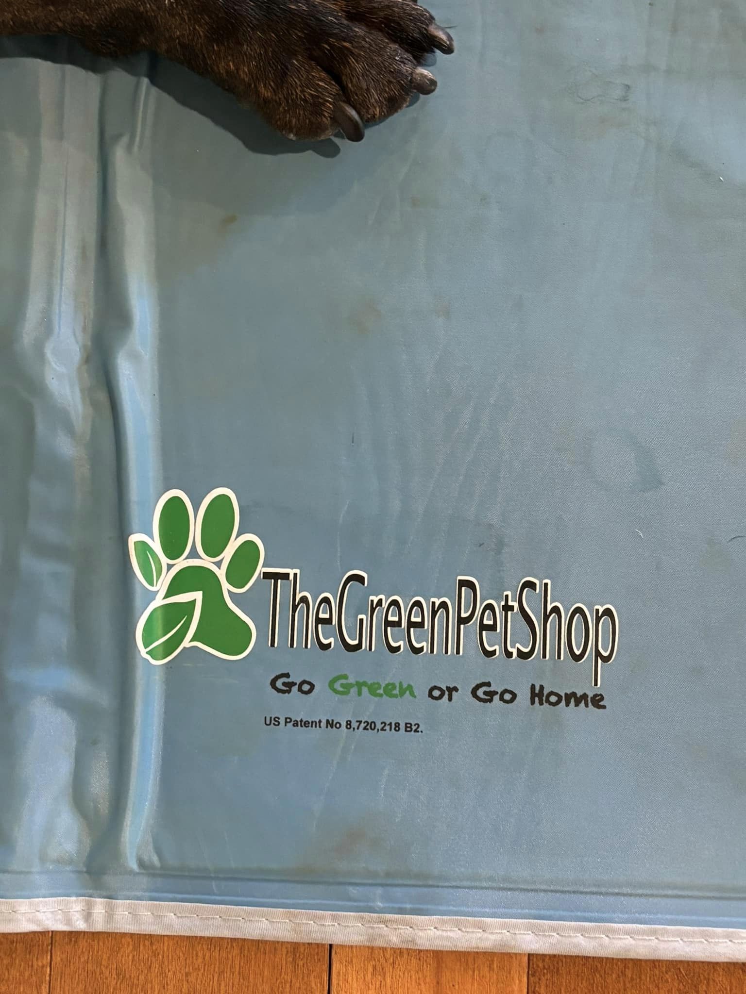 Dog Training Reno - Oh Behave!