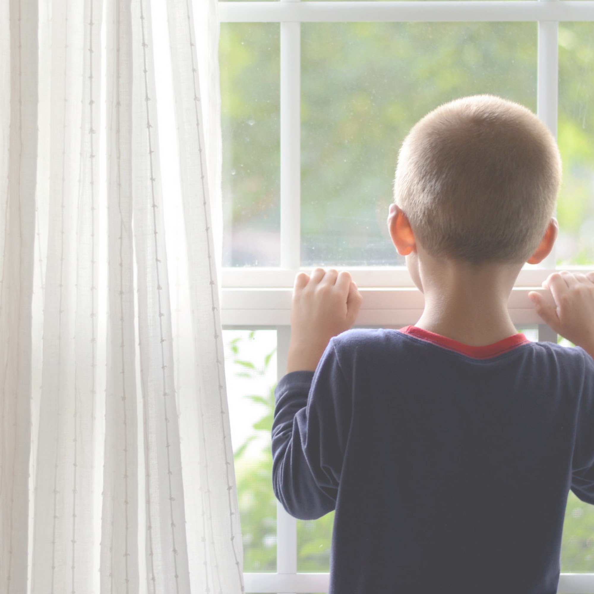Window Inserts