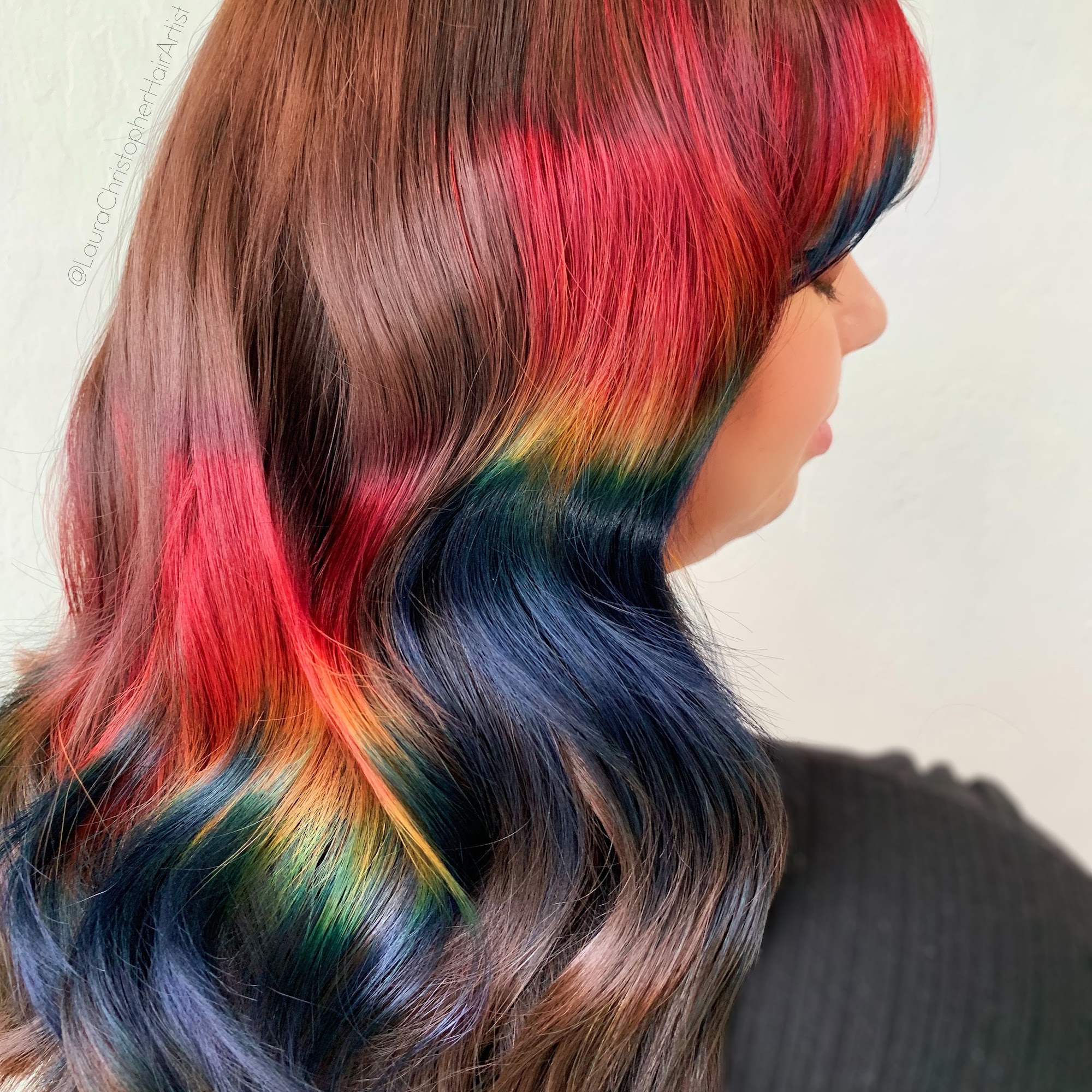 Laura Christopher Hair Artist 137 Vassar St, Reno Nevada 89502