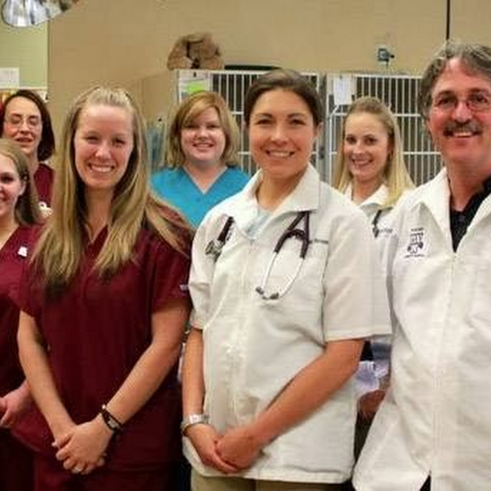 Pyramid Veterinary Hospital Sparks