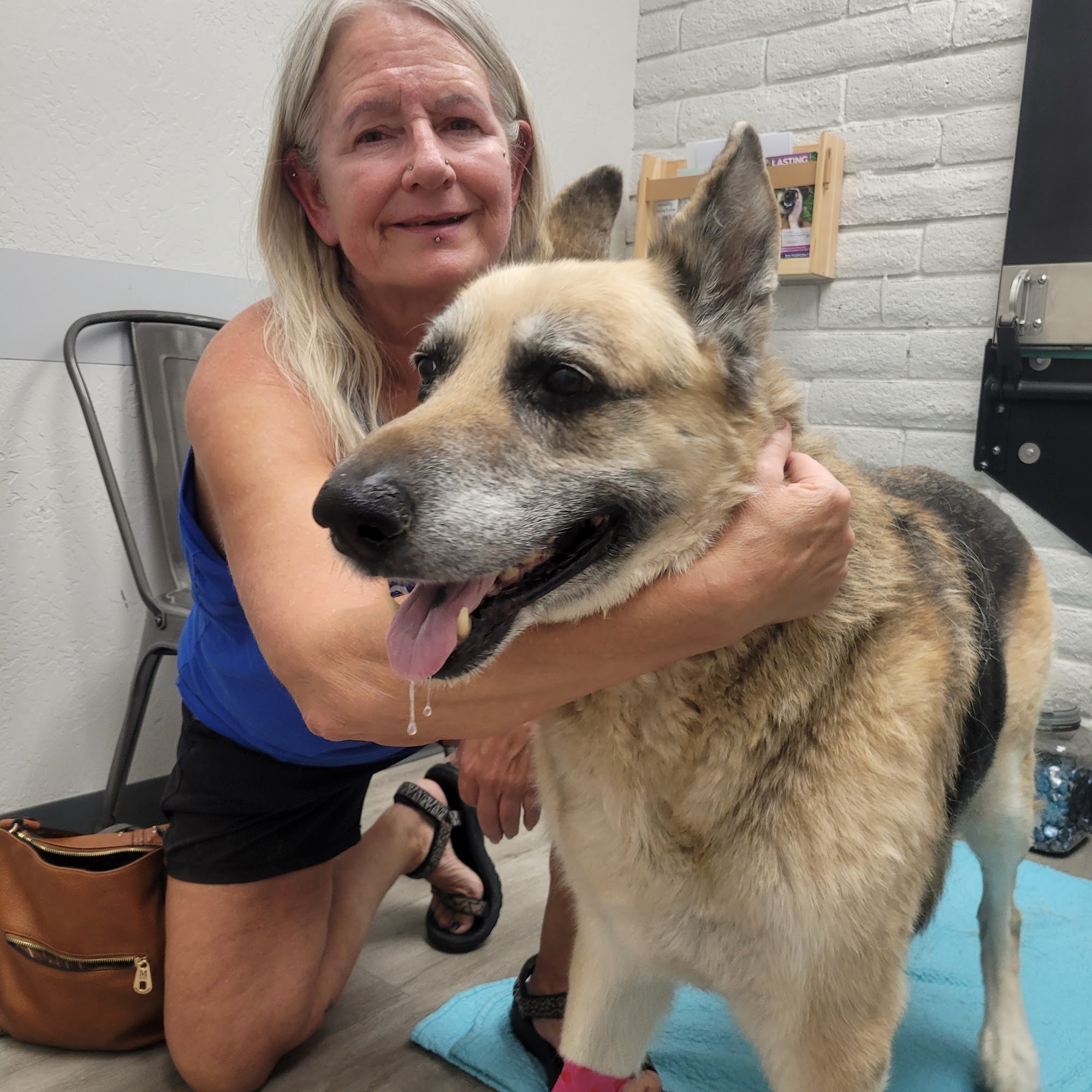 Desert Hills Animal Hospital Sparks