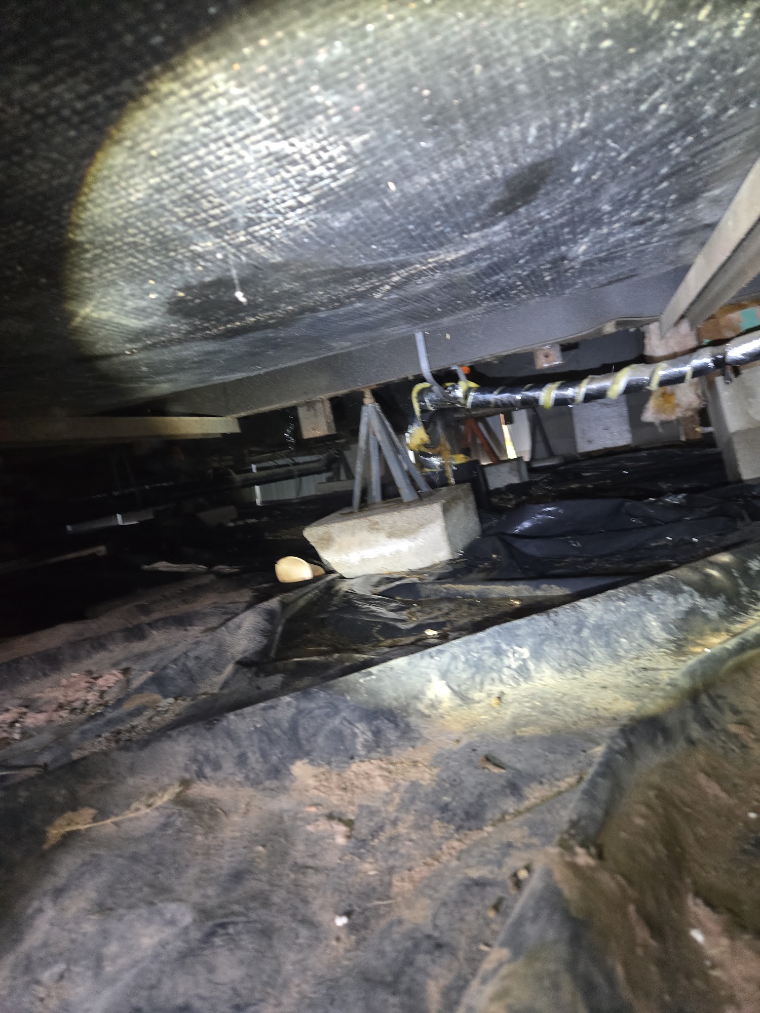 Fielder Sewer & Drain 501 Spring Valley Pkwy, Spring Creek Nevada 89815