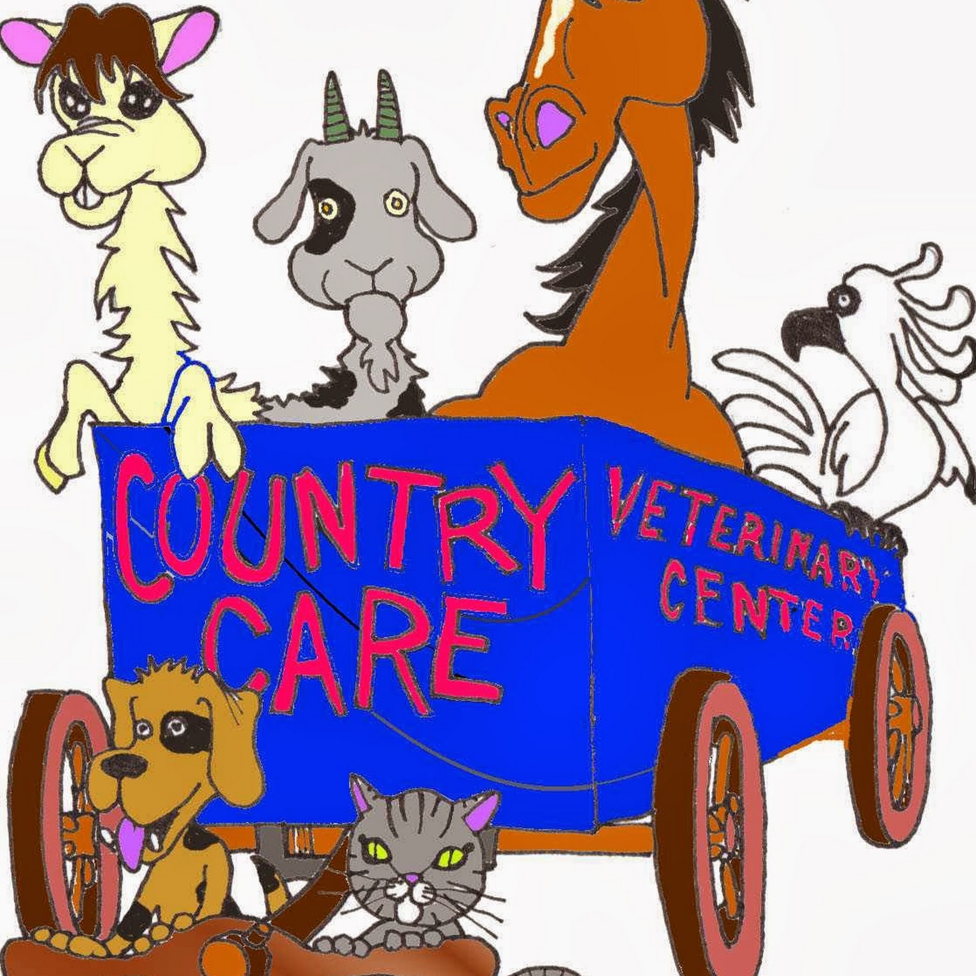Country Care Veterinary Center, PLLC Afton
