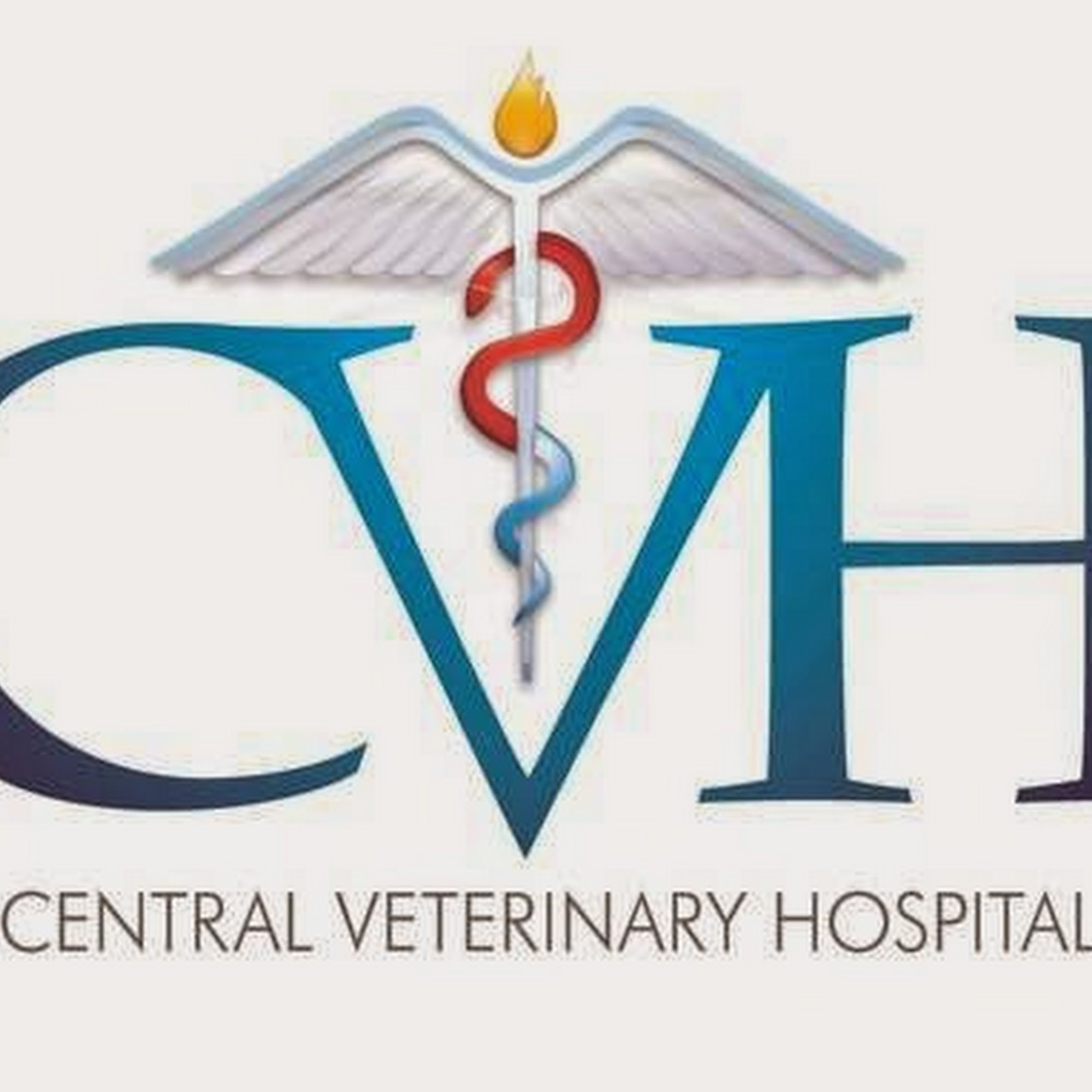 Central Veterinary Hospital Albany