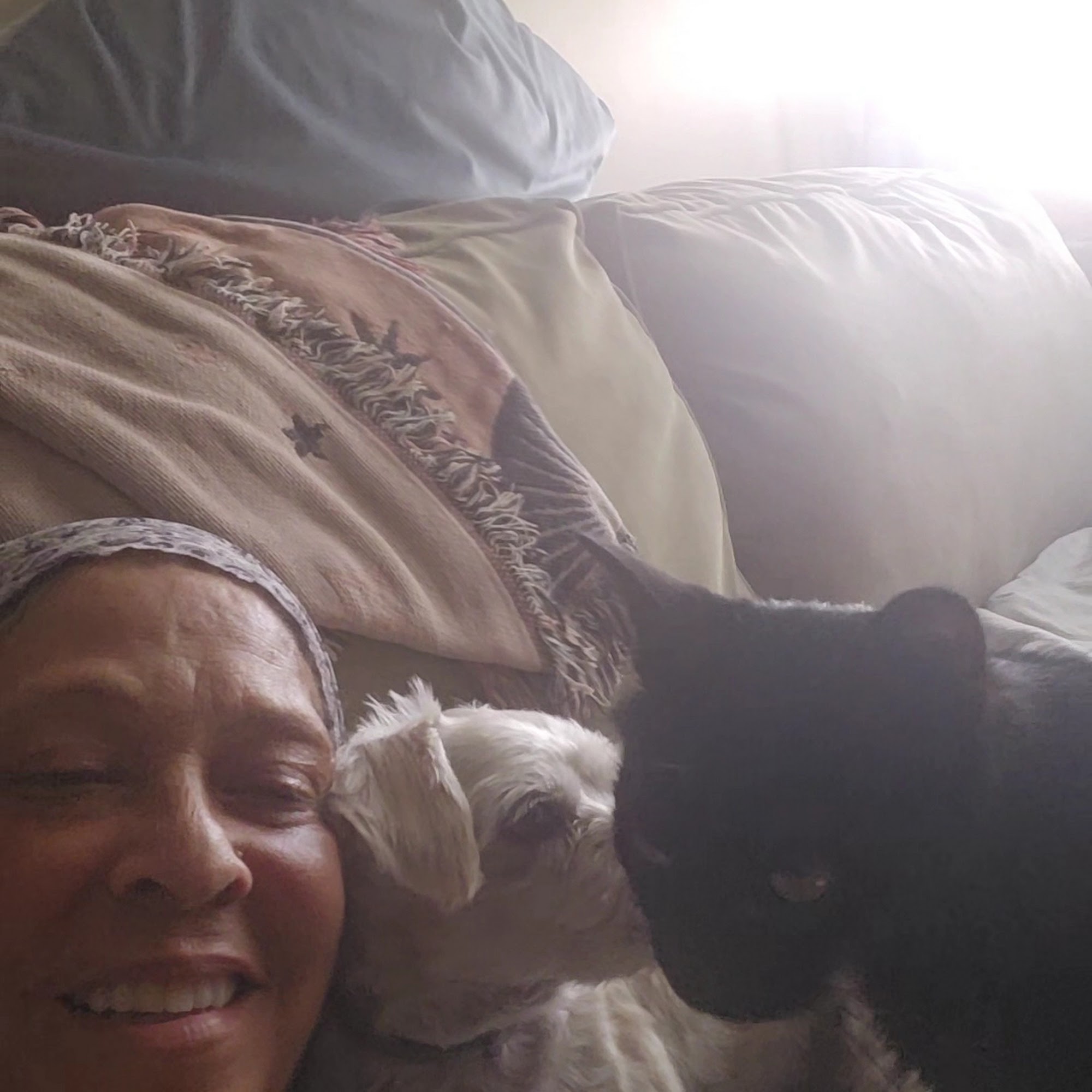 Normanside Veterinary Clinic Albany