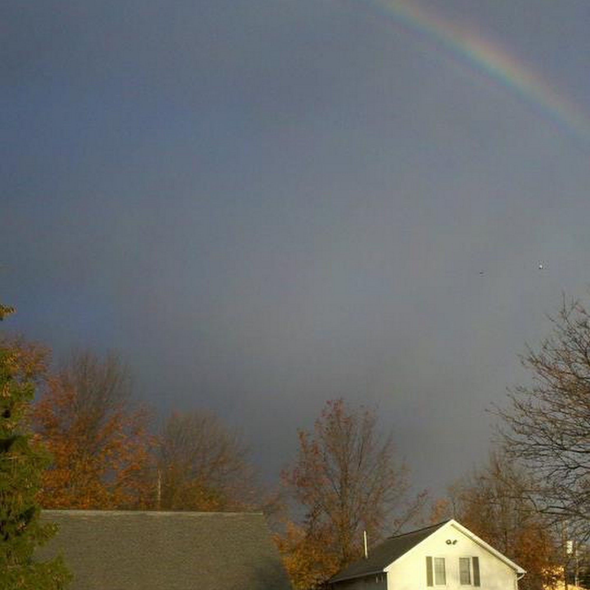 Albany County Veterinary Hospital Albany