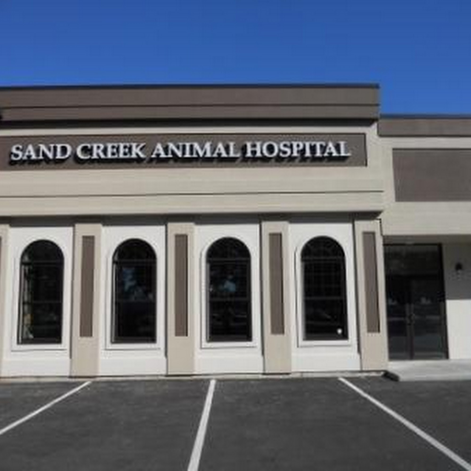 Sand Creek Animal Hospital Albany