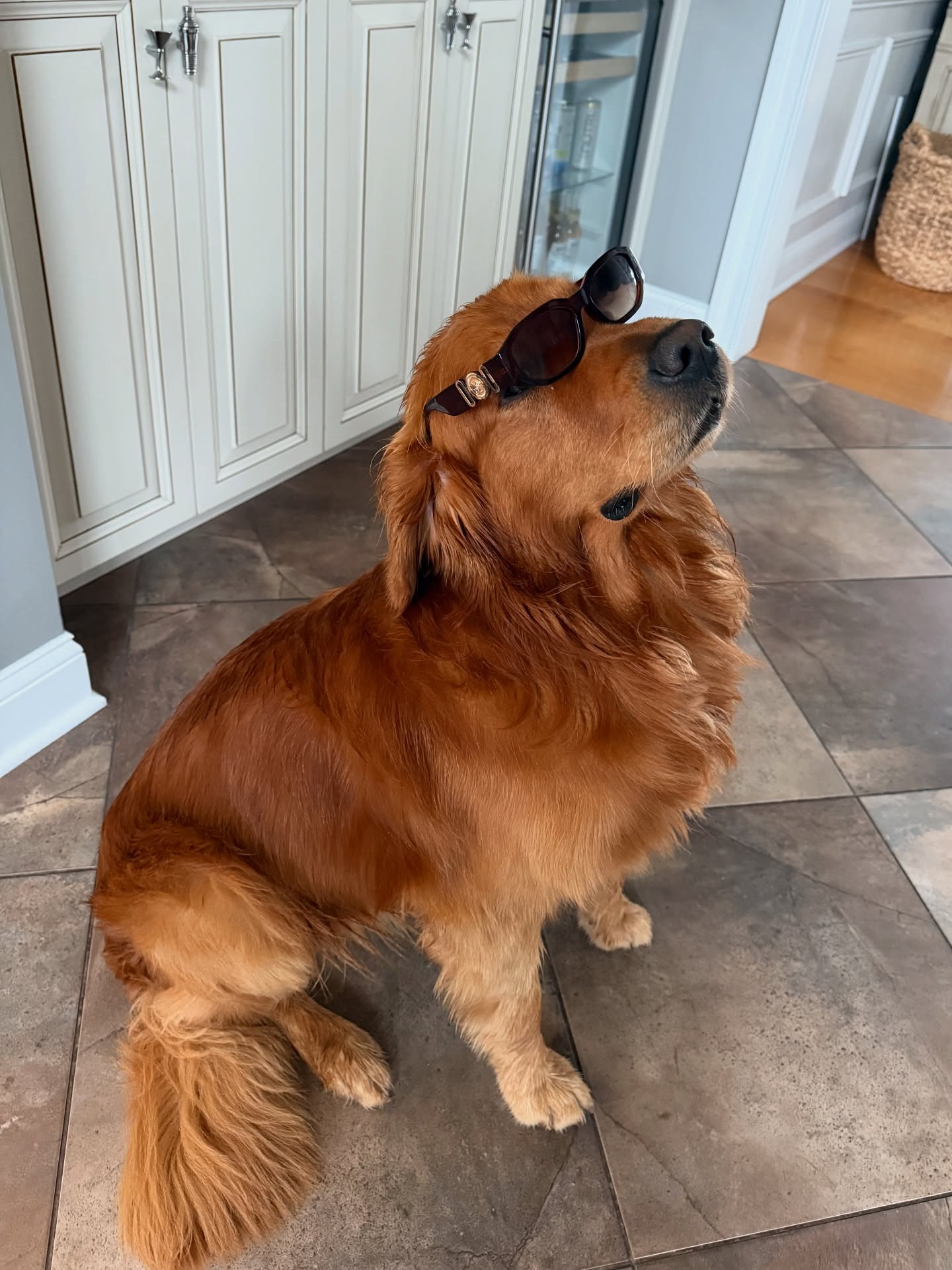 Miranda's Deli Albany