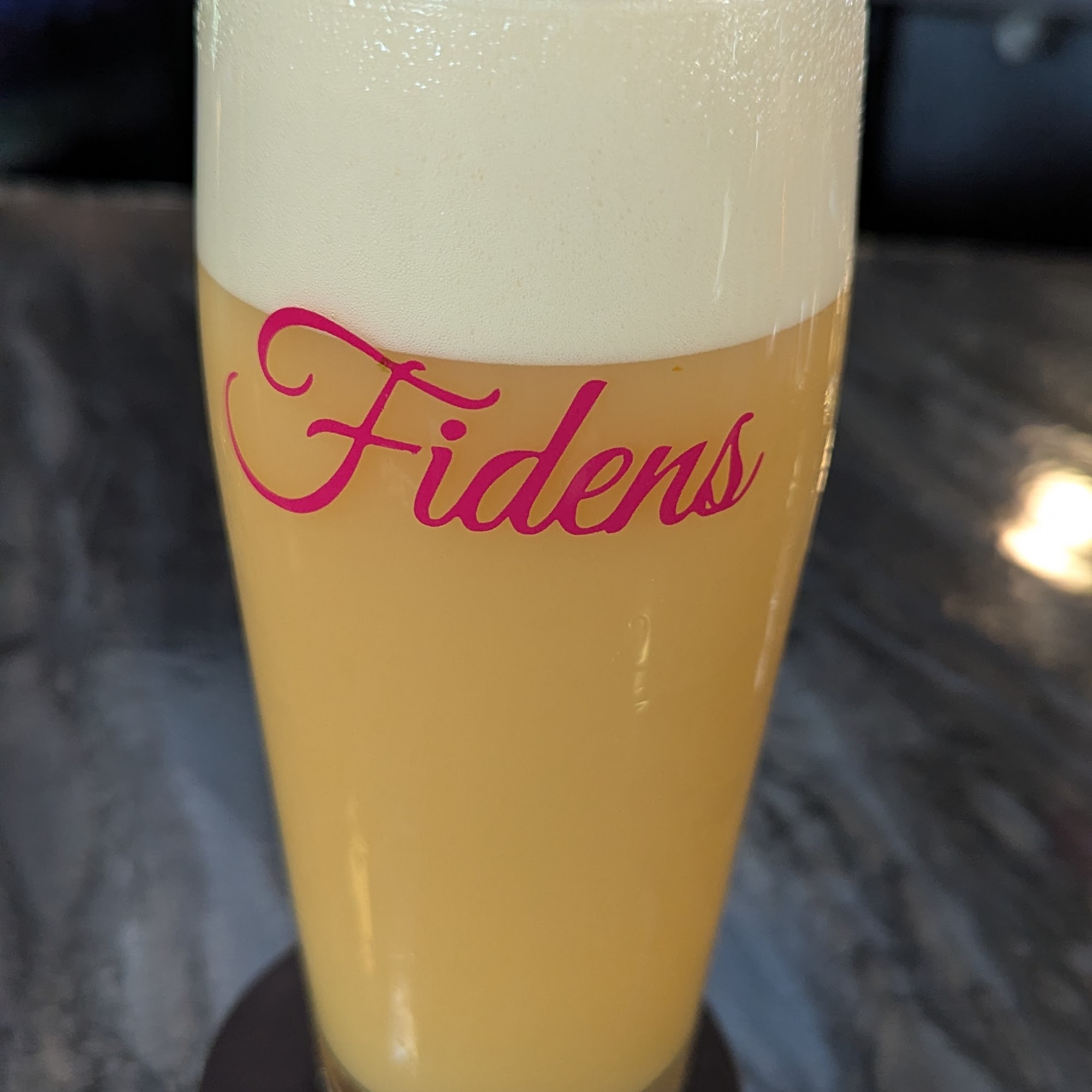 Fidens Brewing Company Albany
