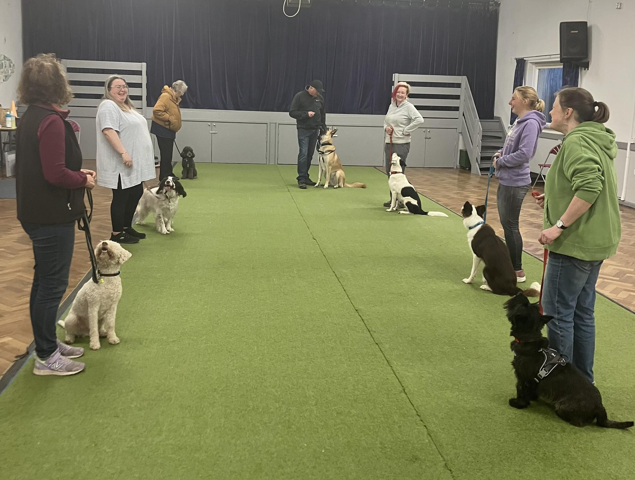 Happy Tails Dog Training and More Albany