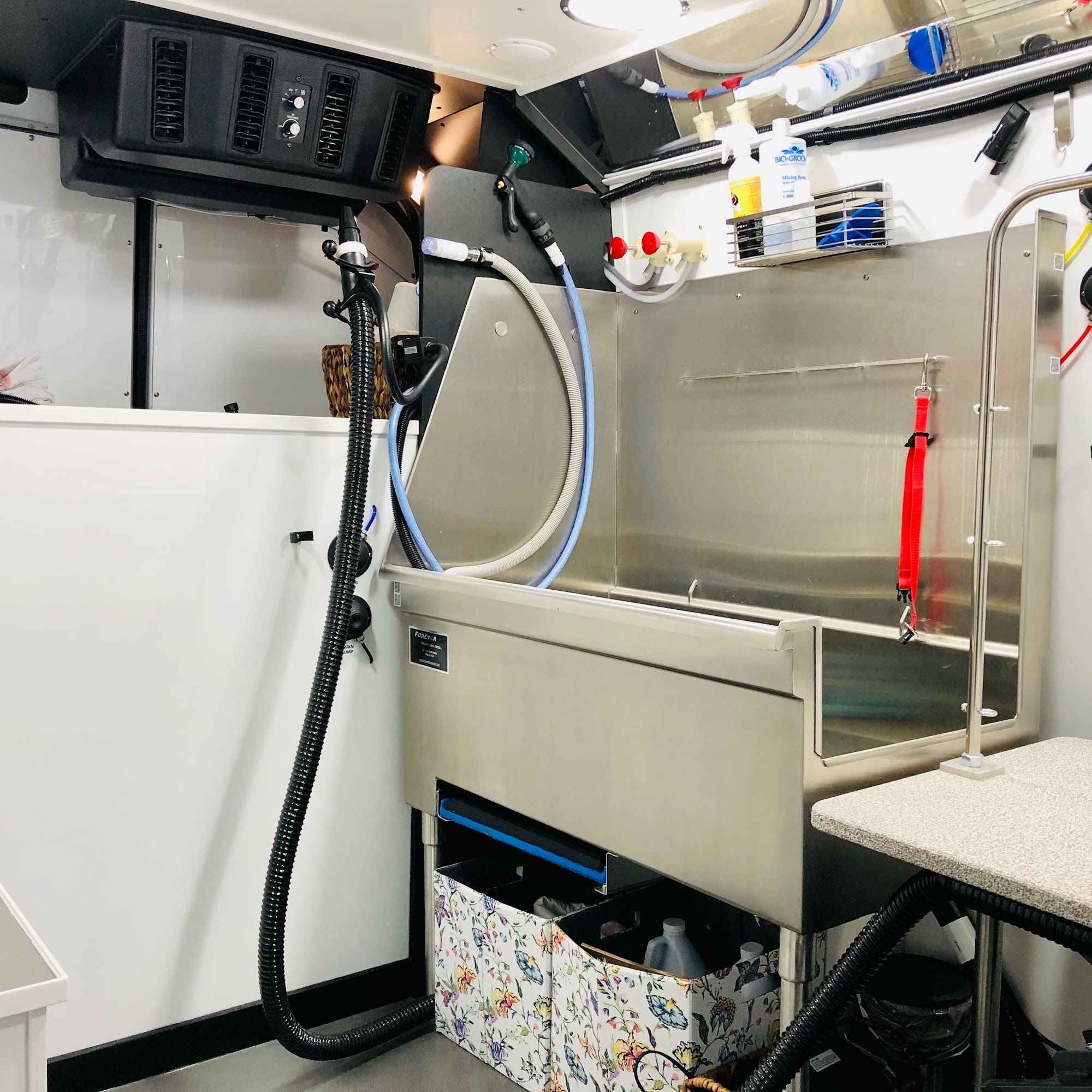 Zen Dog Mobile Spa Albany