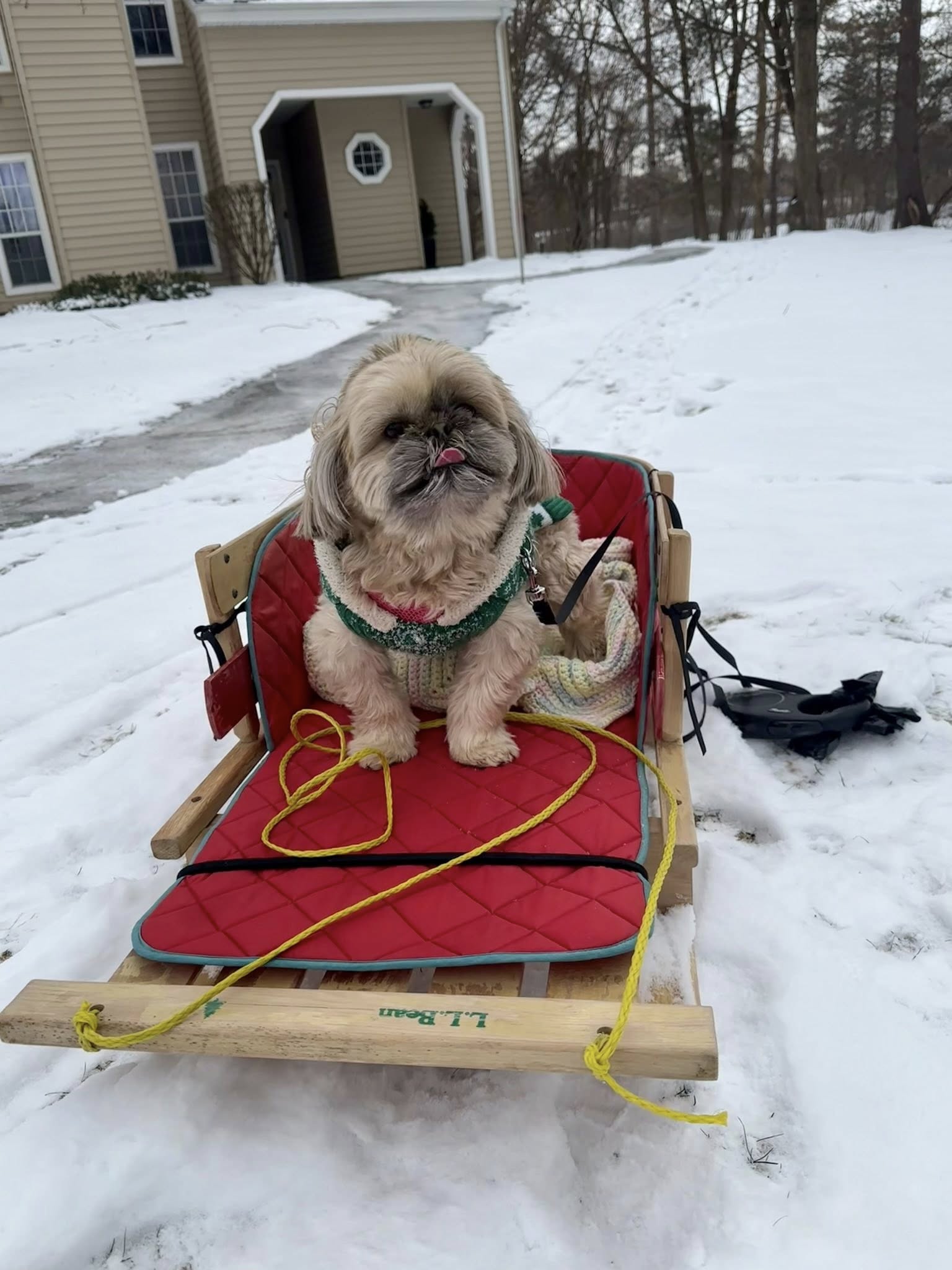 Zen Dog Mobile Spa Albany