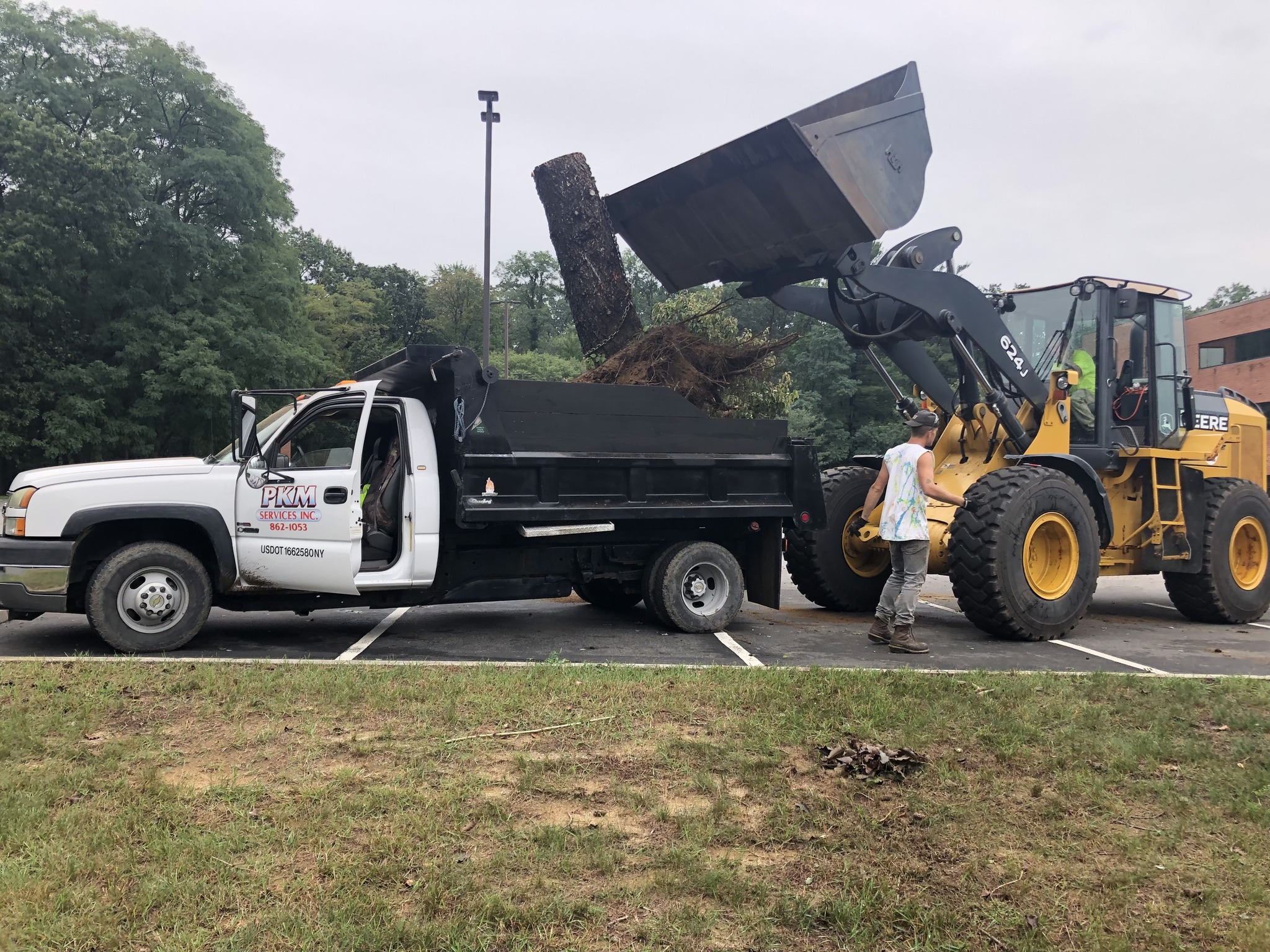 Pkm Services Inc 75 Van Wie Terrace, Albany New York 12203