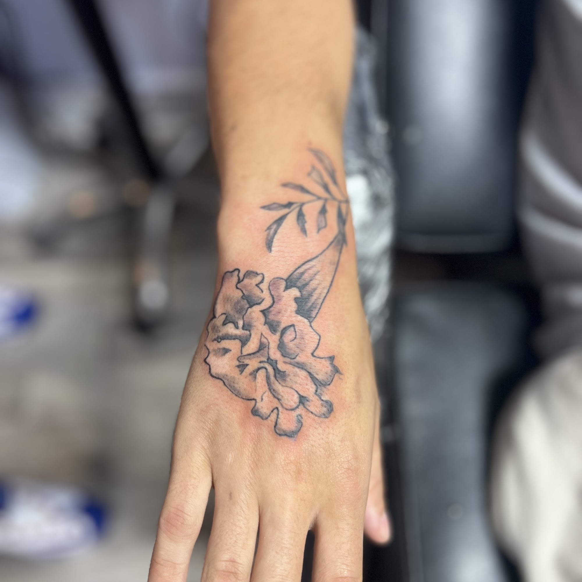 Dread's Touch 30 Central Ave, Albany New York 12210