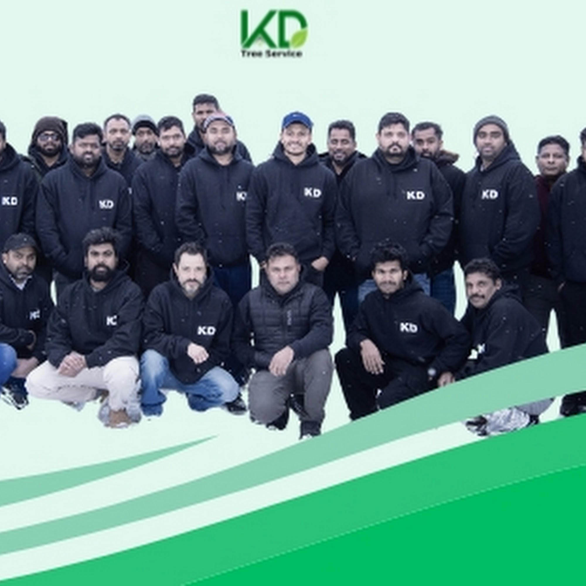 KD Tree Service Albany NY