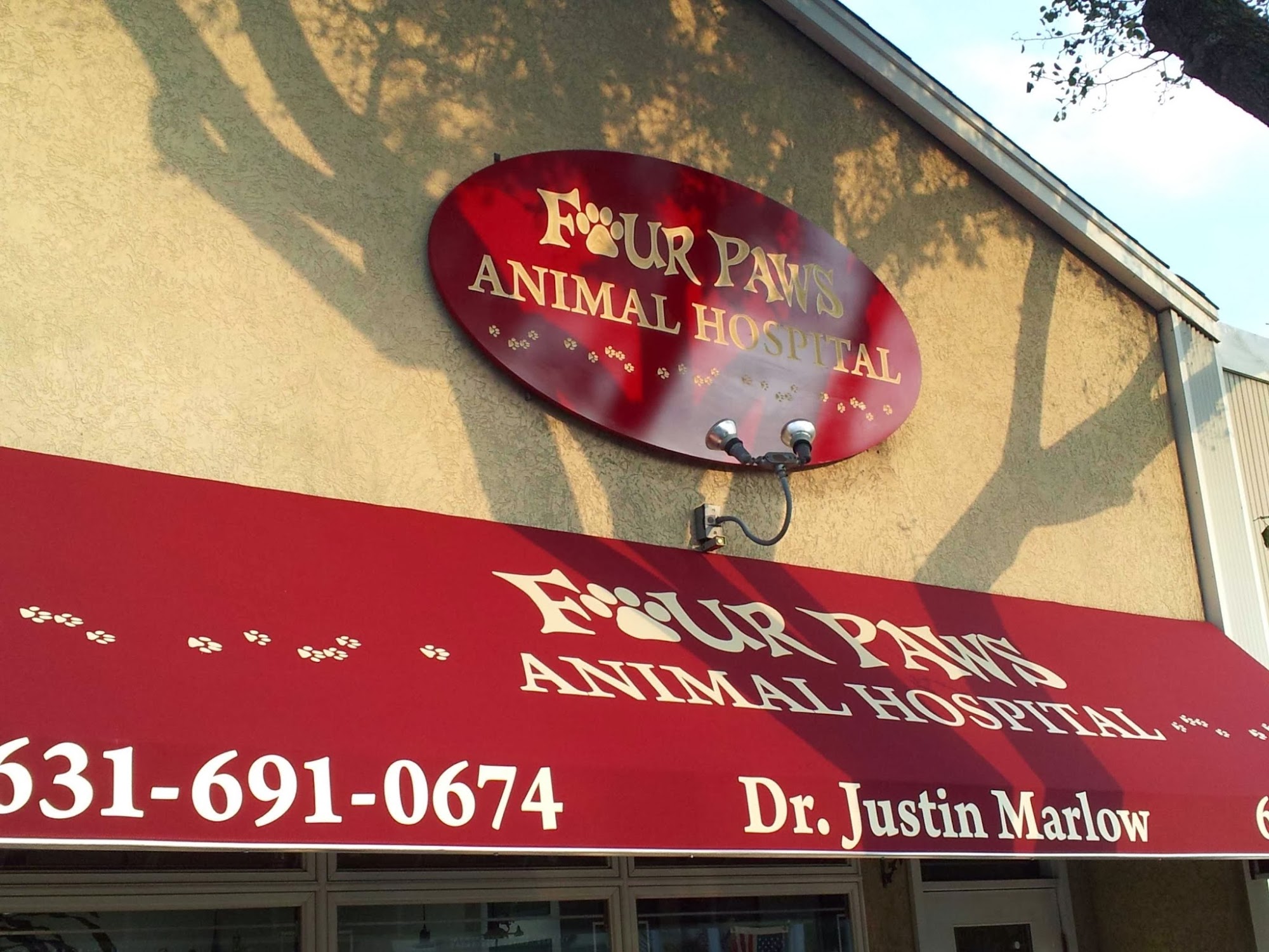 Four Paws Animal Hospital Amityville