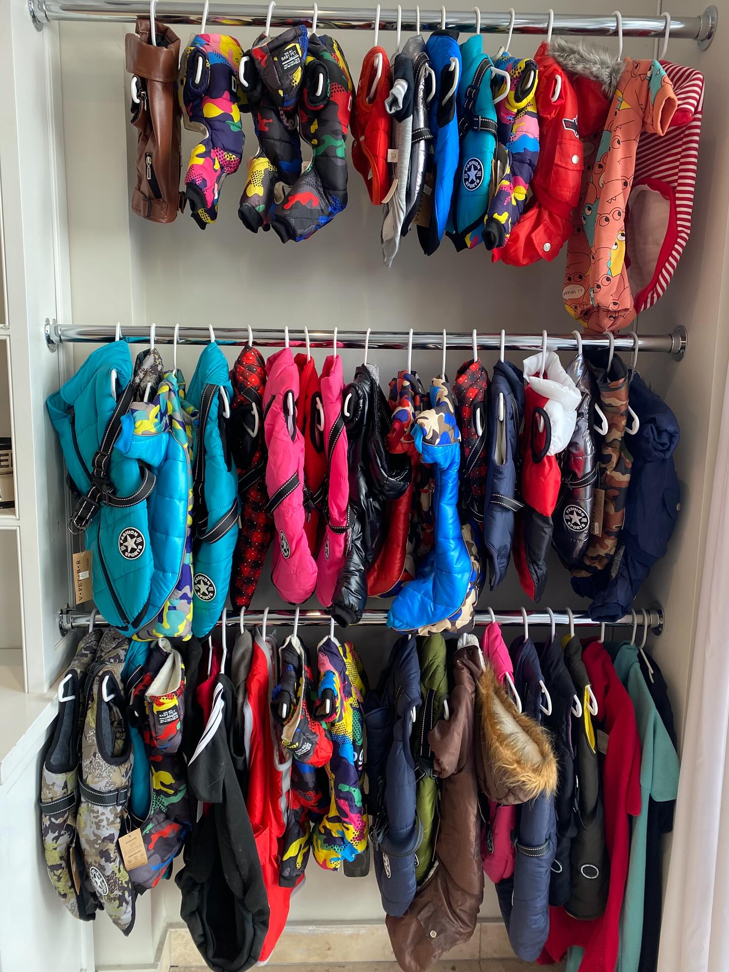 Vivi Pet Care Astoria