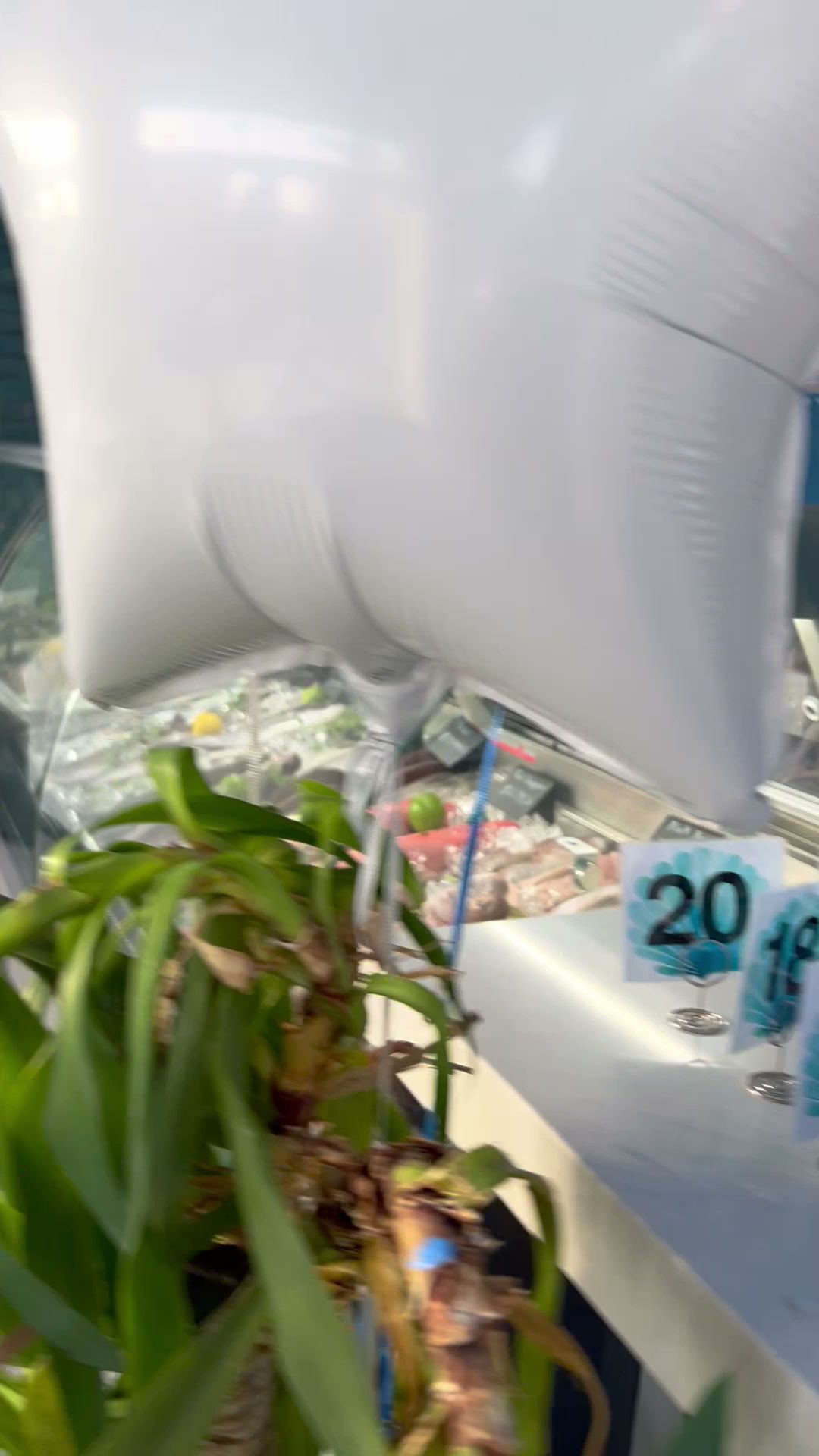 Le Petit Pêcheur Astoria