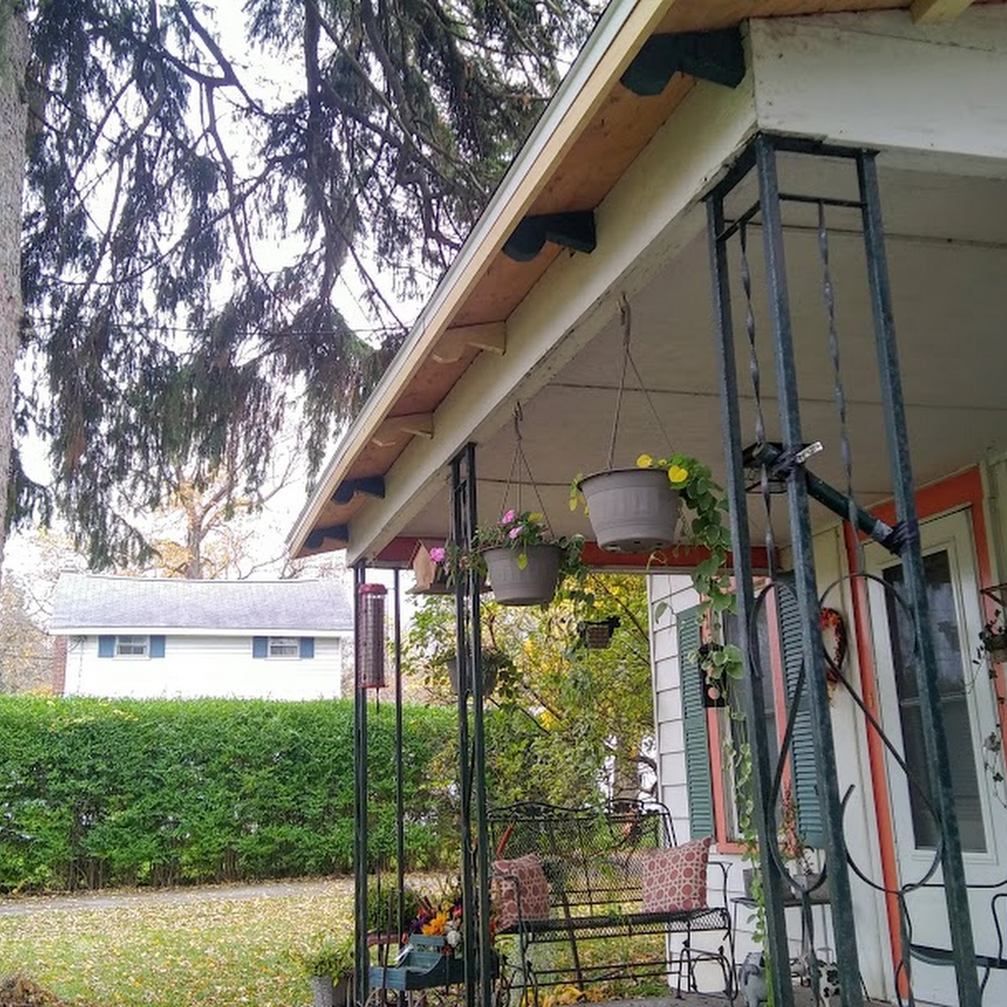 Pidgeon Roofing & Renovations